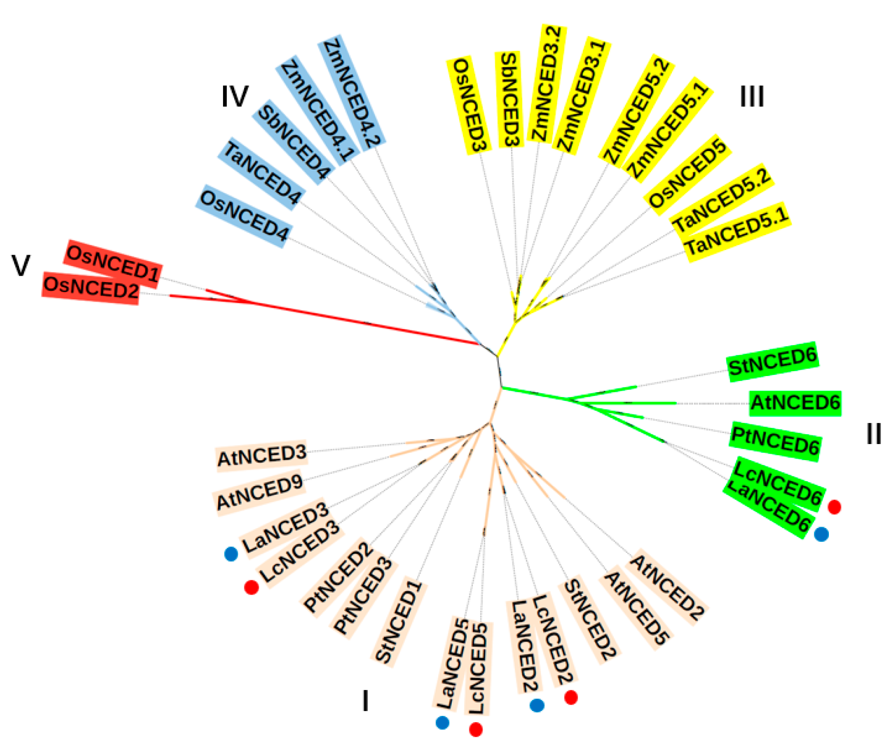Horticulturae 11 00115 g002 Horticulturae 11 00115 g002