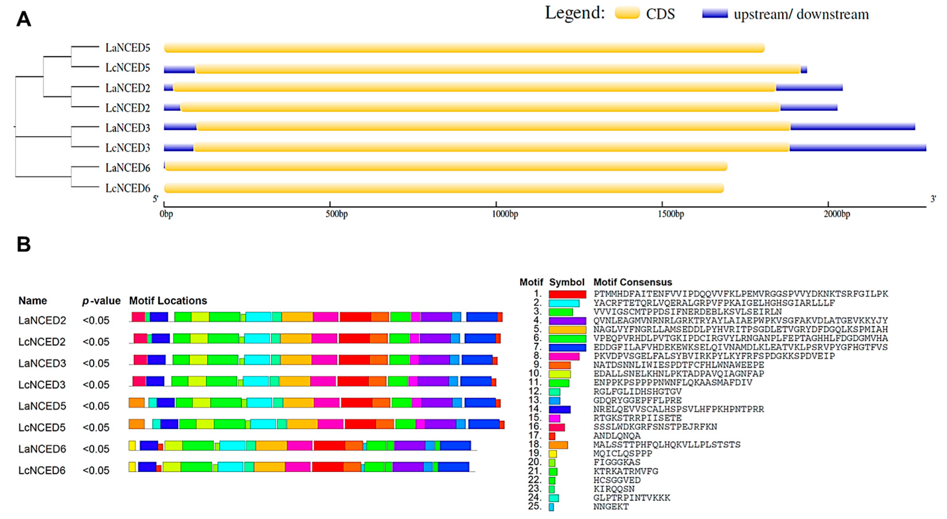 Horticulturae 11 00115 g003 Horticulturae 11 00115 g003