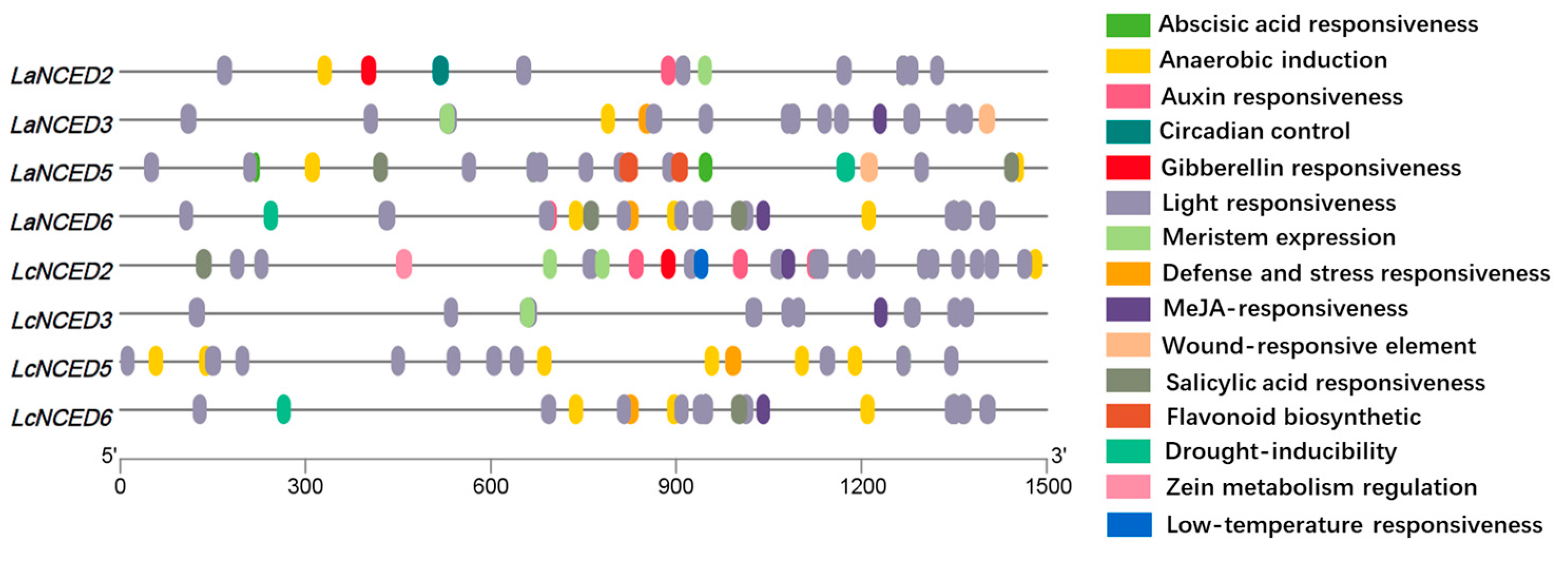 Horticulturae 11 00115 g004 Horticulturae 11 00115 g004