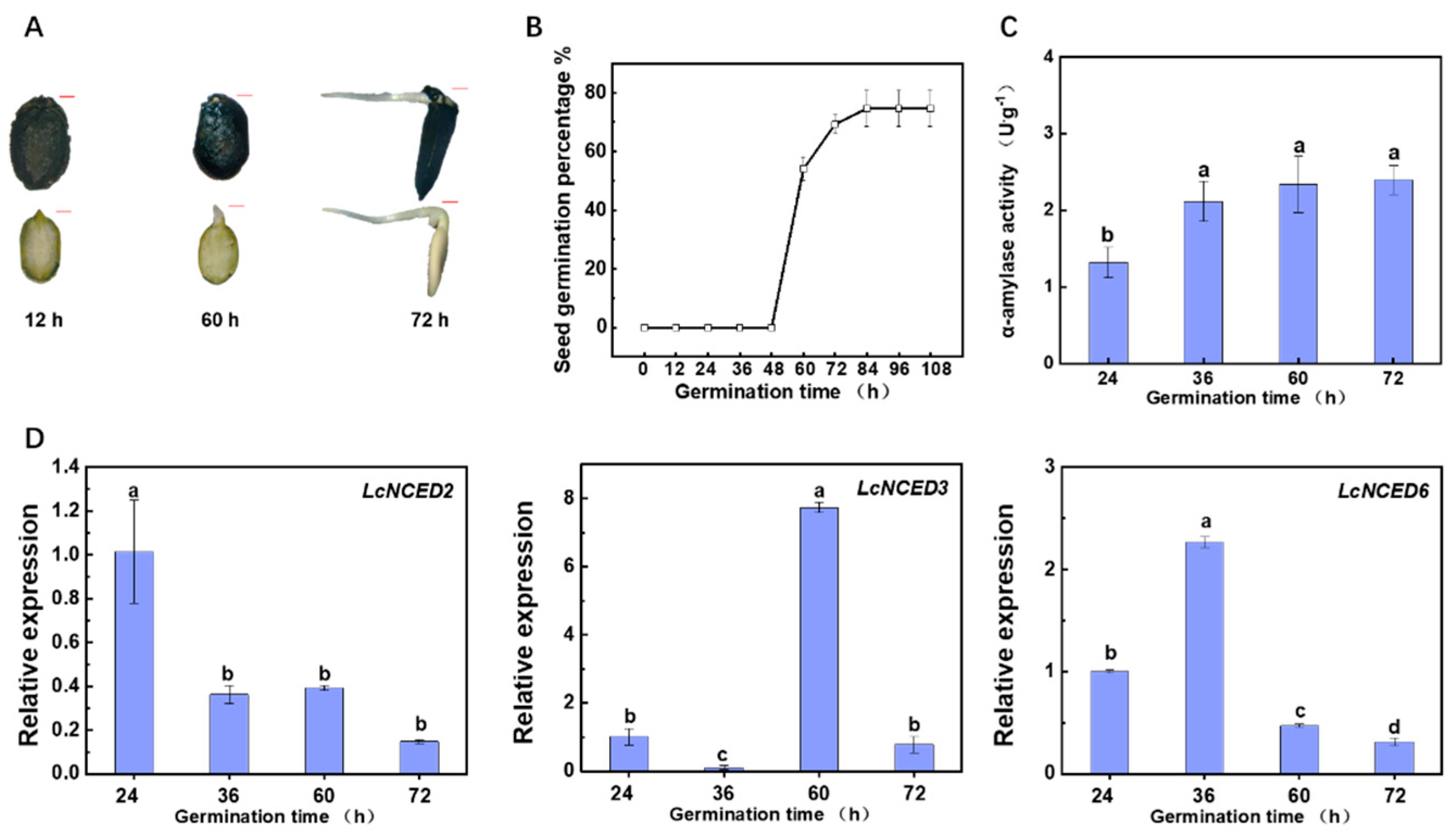 Horticulturae 11 00115 g005 Horticulturae 11 00115 g005