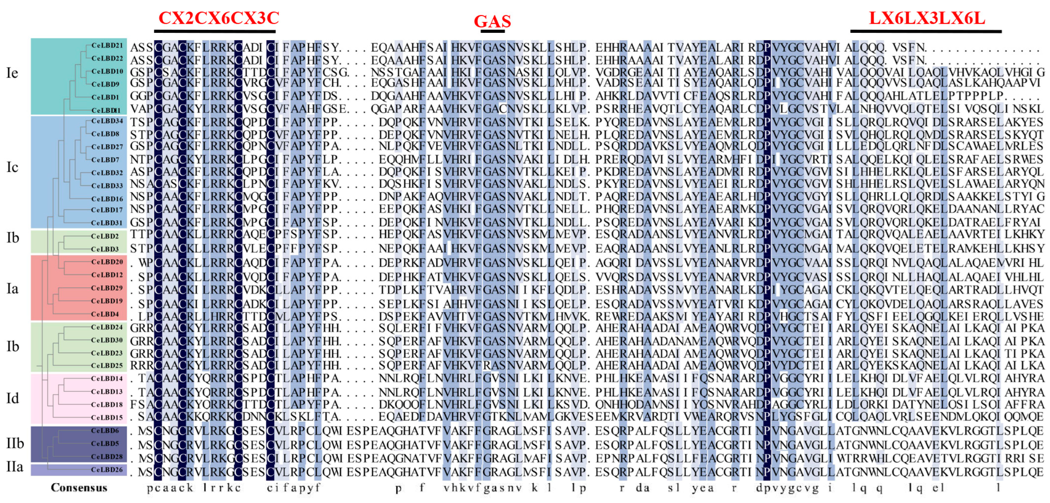 Horticulturae 11 00117 g002