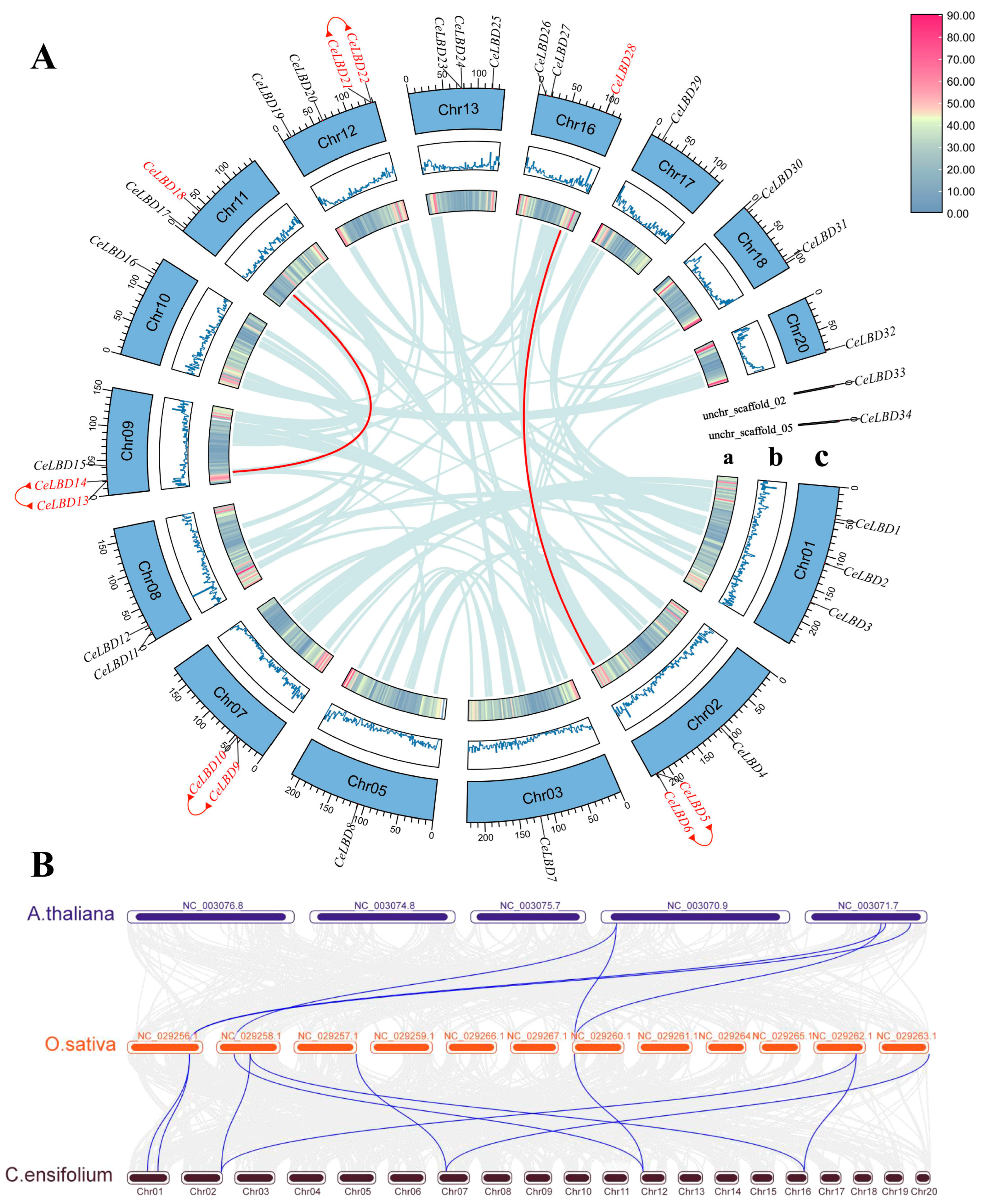 Horticulturae 11 00117 g004