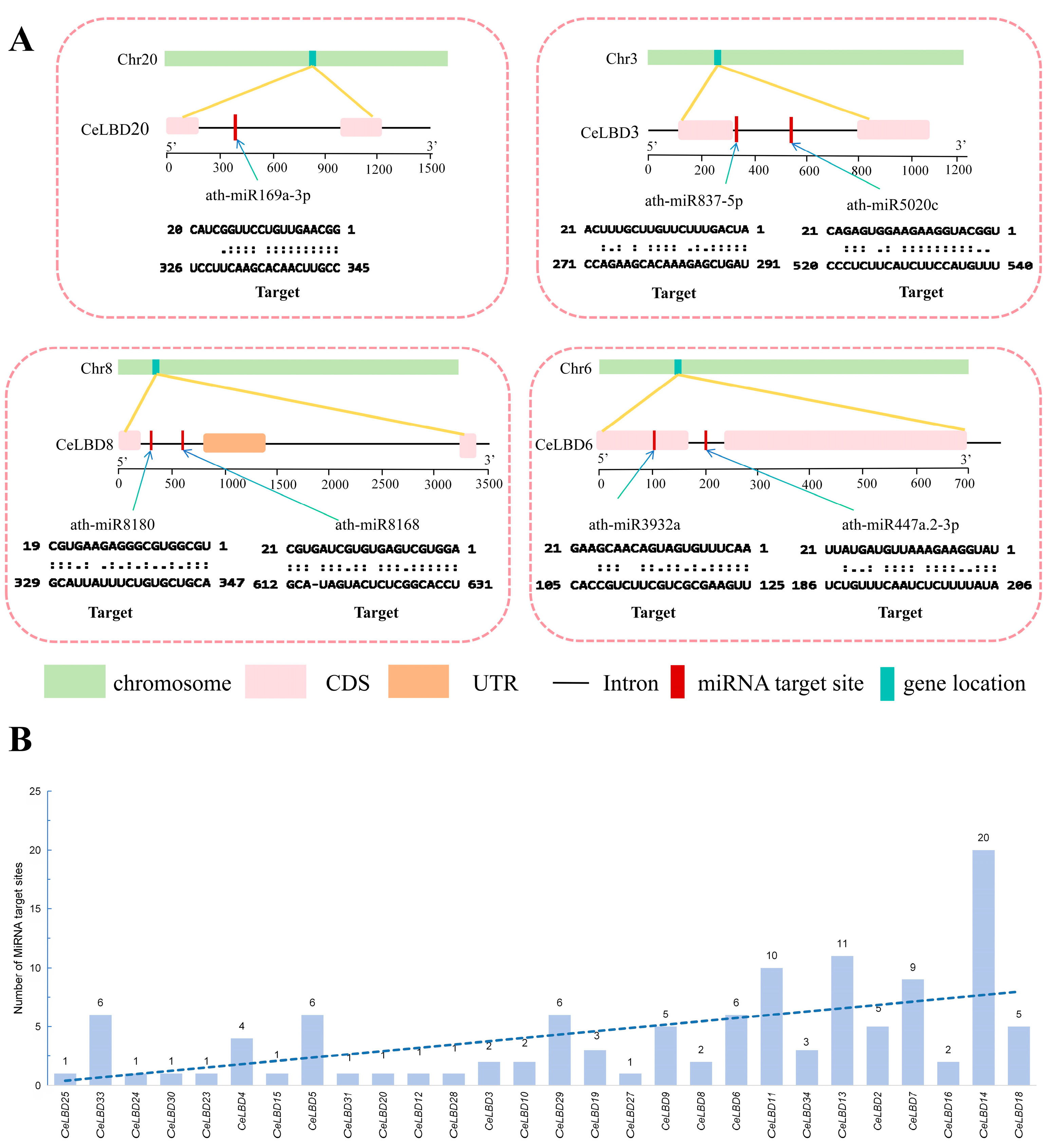 Horticulturae 11 00117 g006