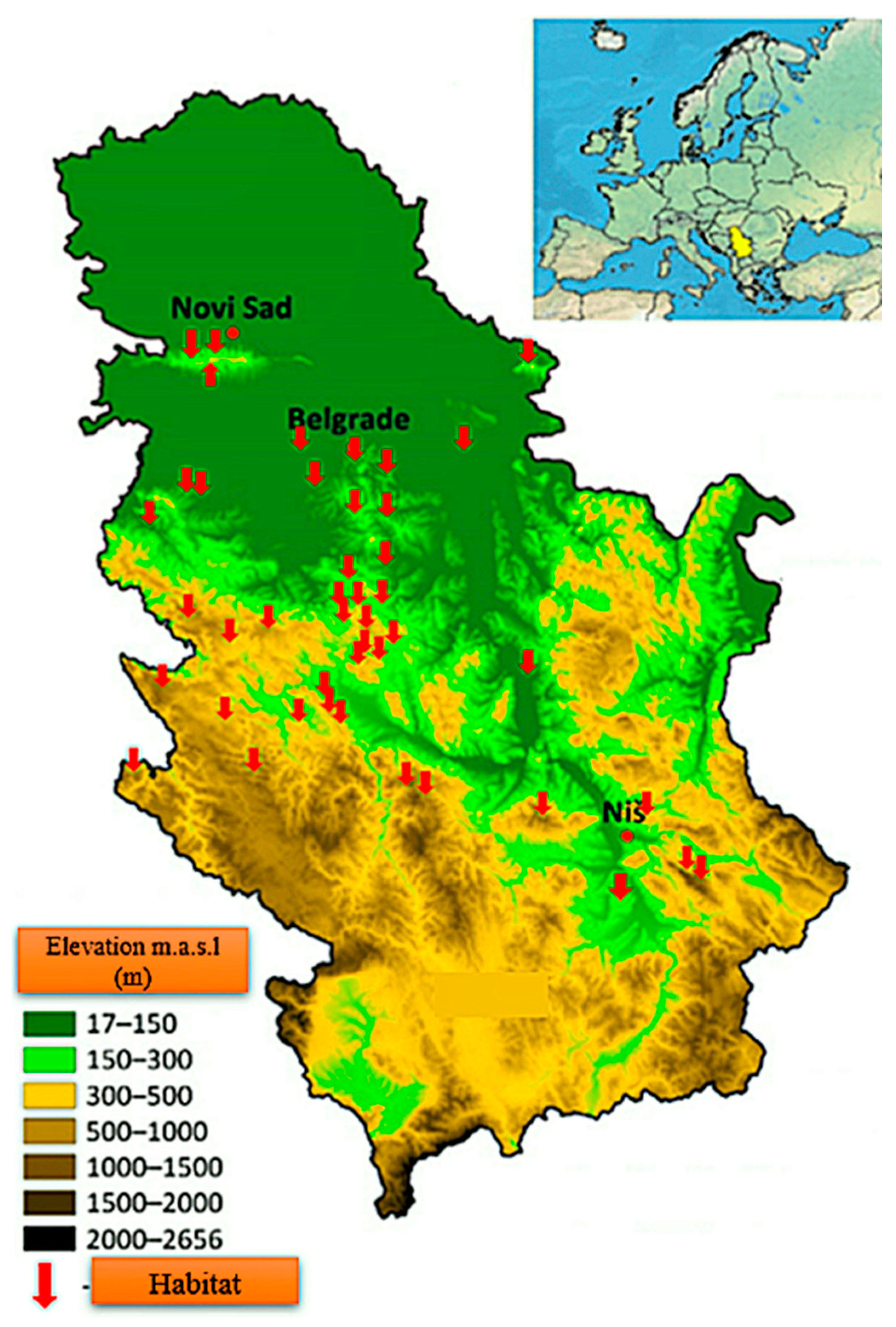 Horticulturae 11 00118 g001