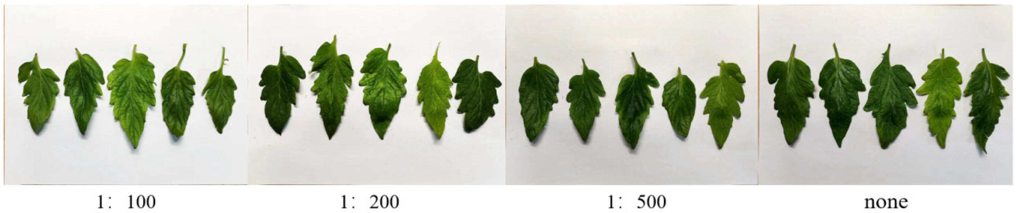 Horticulturae 11 00121 g001