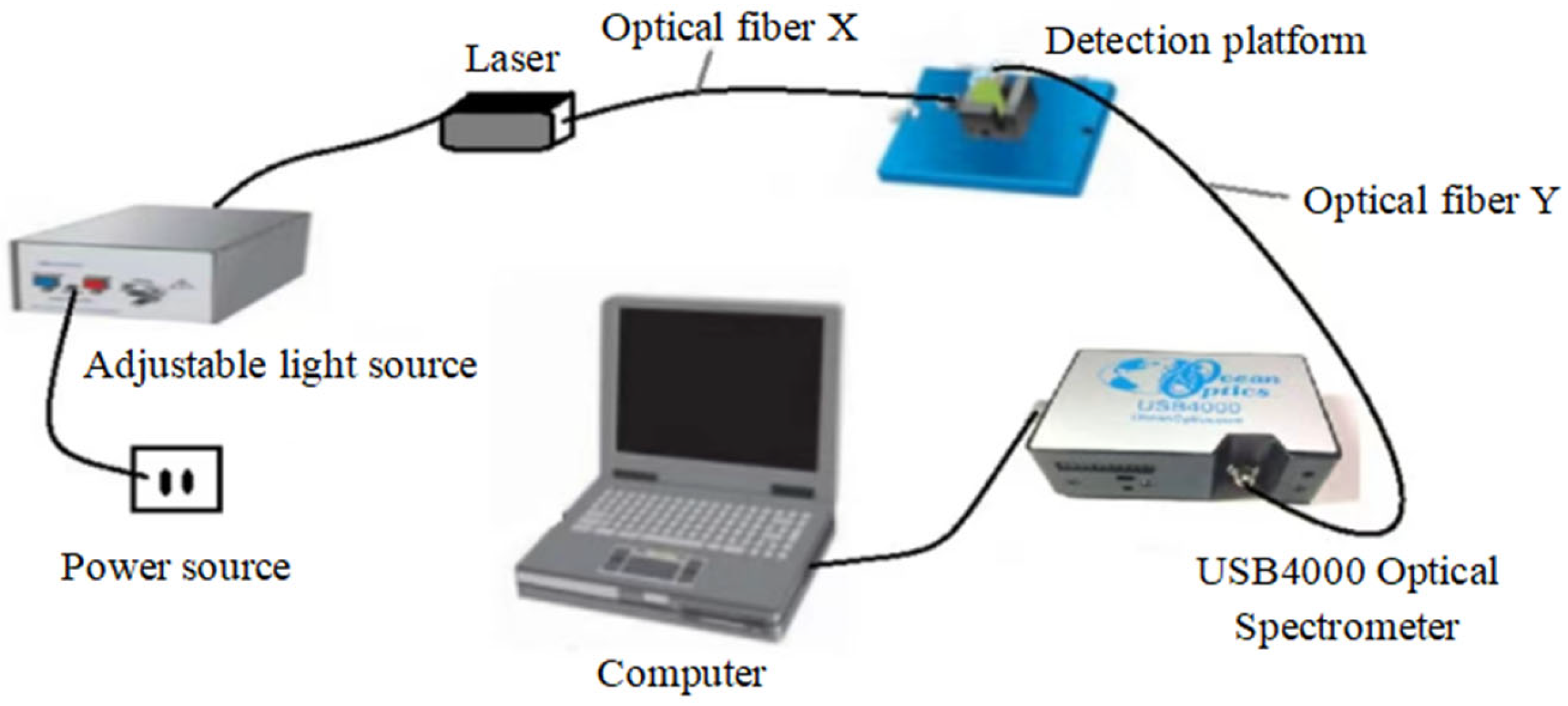 Horticulturae 11 00121 g002