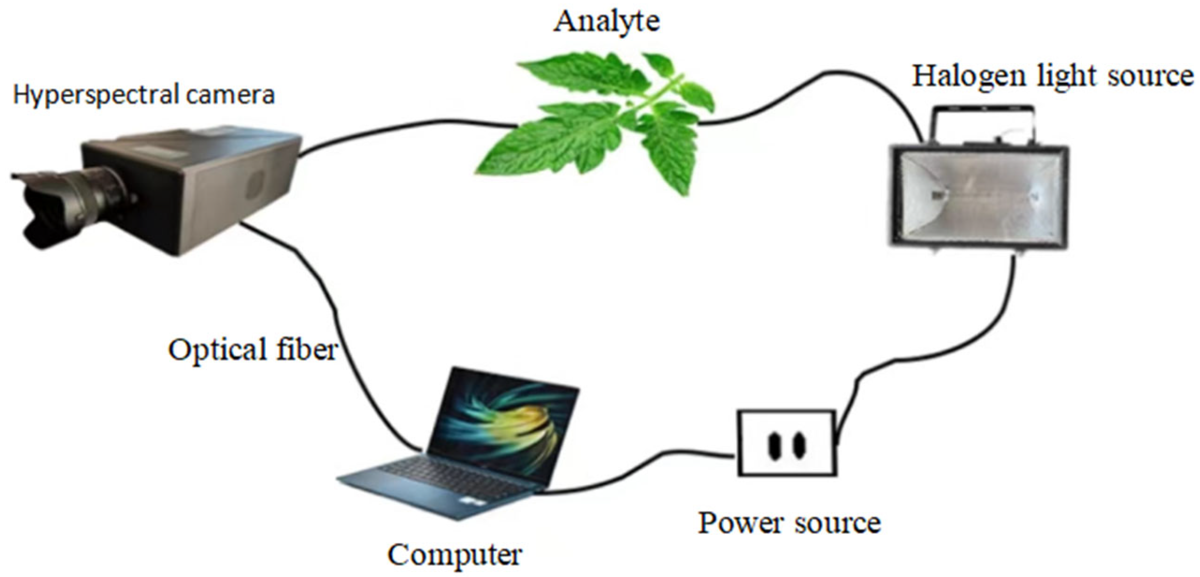 Horticulturae 11 00121 g003