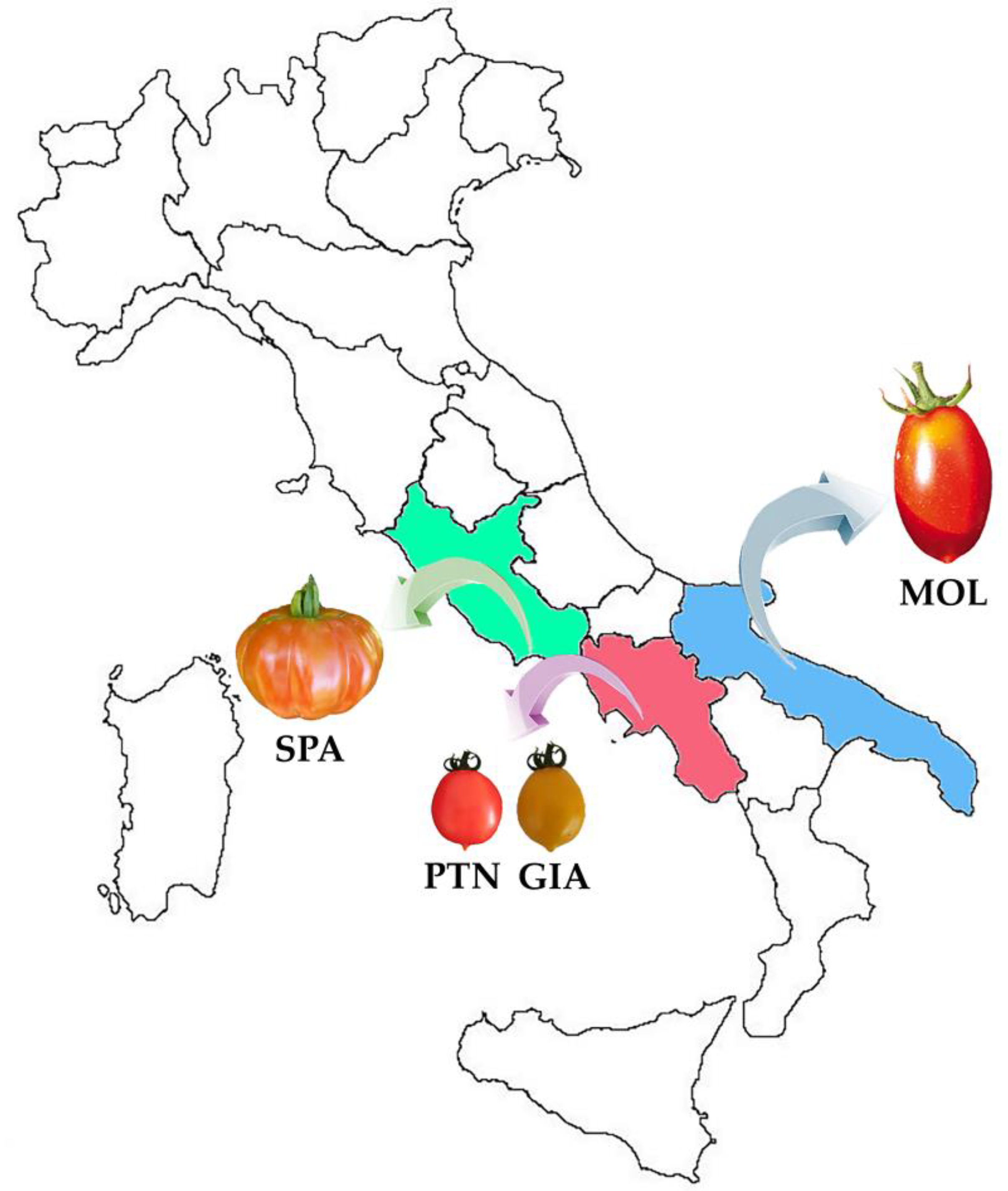 Horticulturae 11 00129 g001