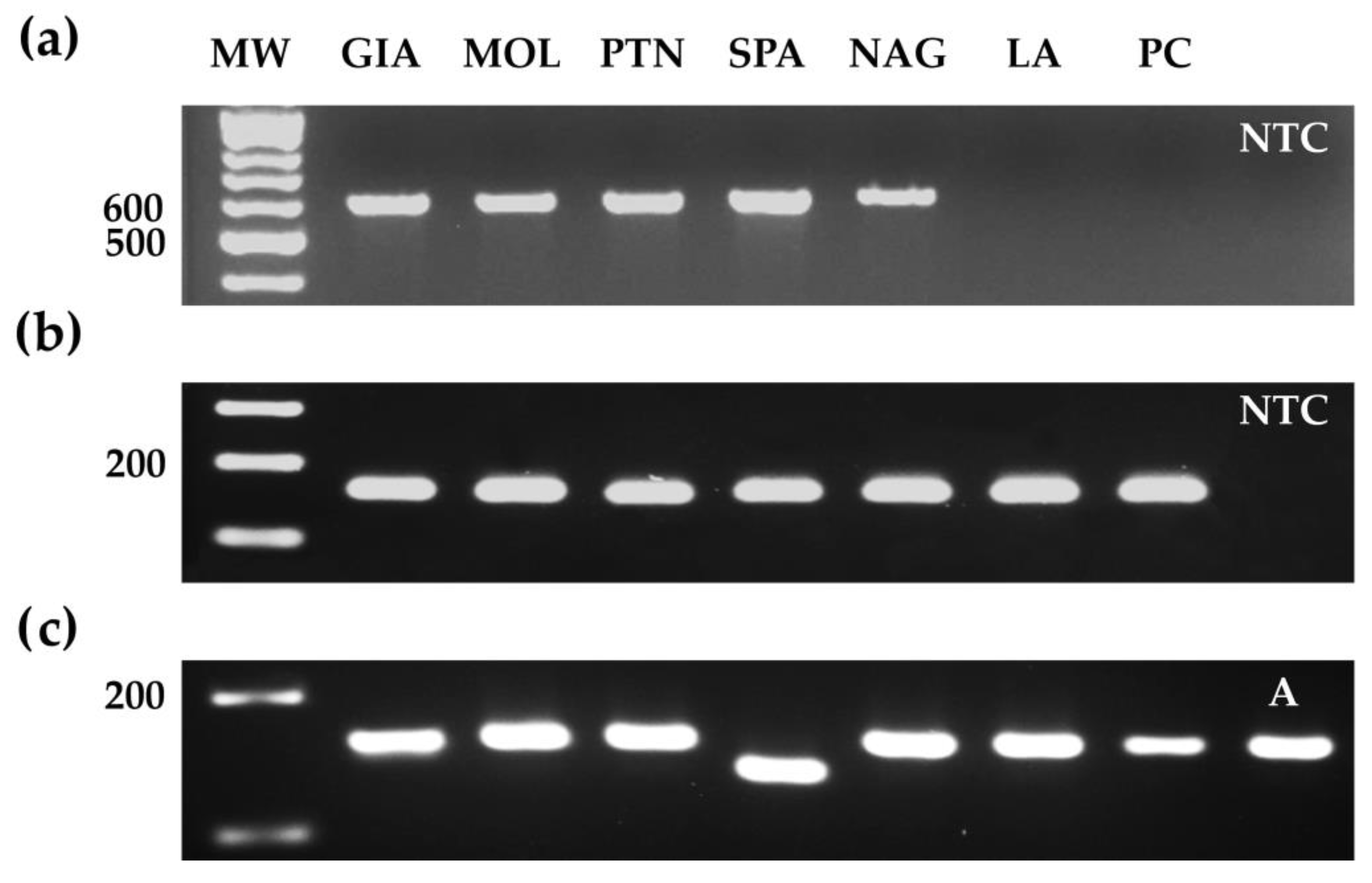 Horticulturae 11 00129 g003