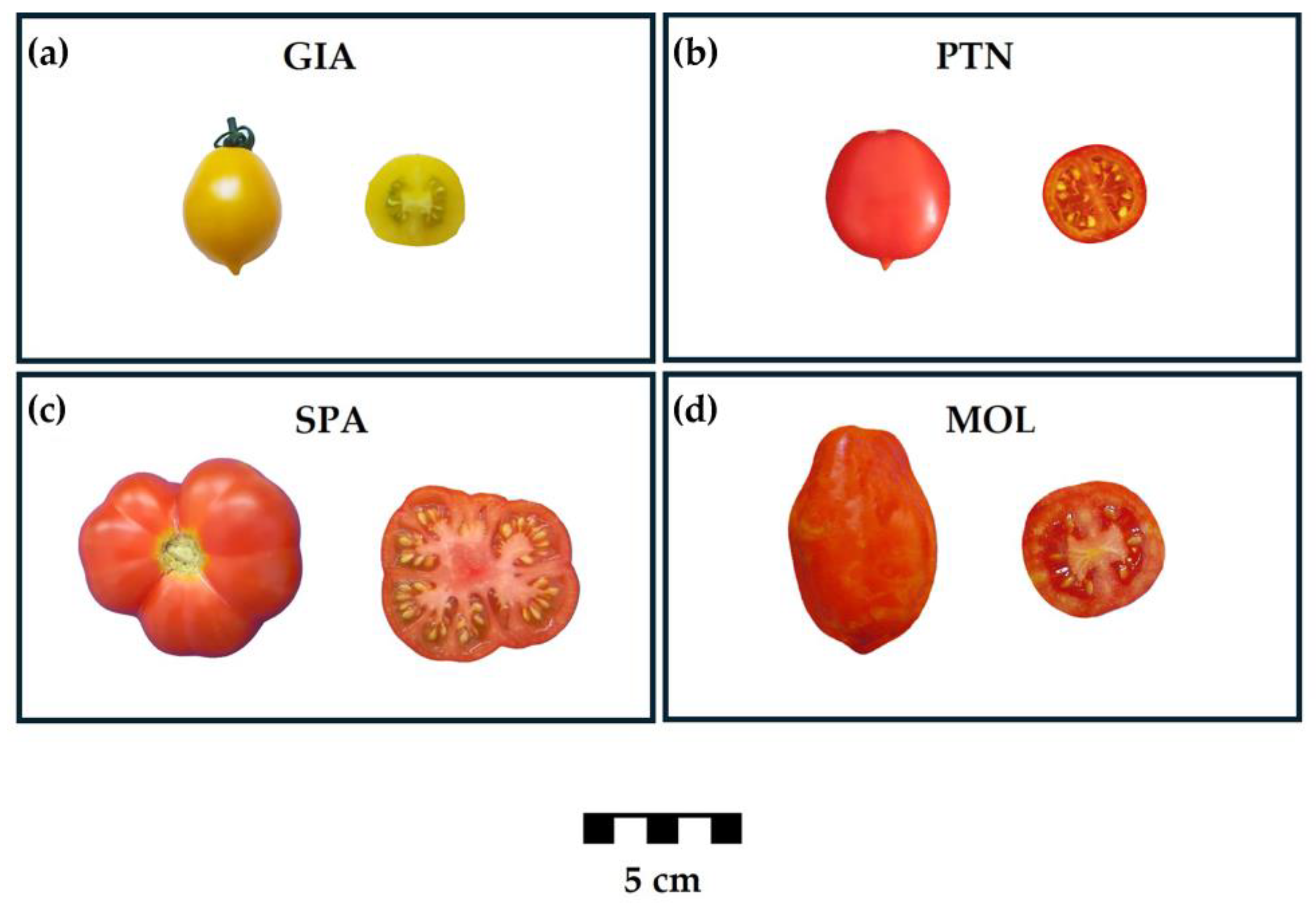 Horticulturae 11 00129 g007