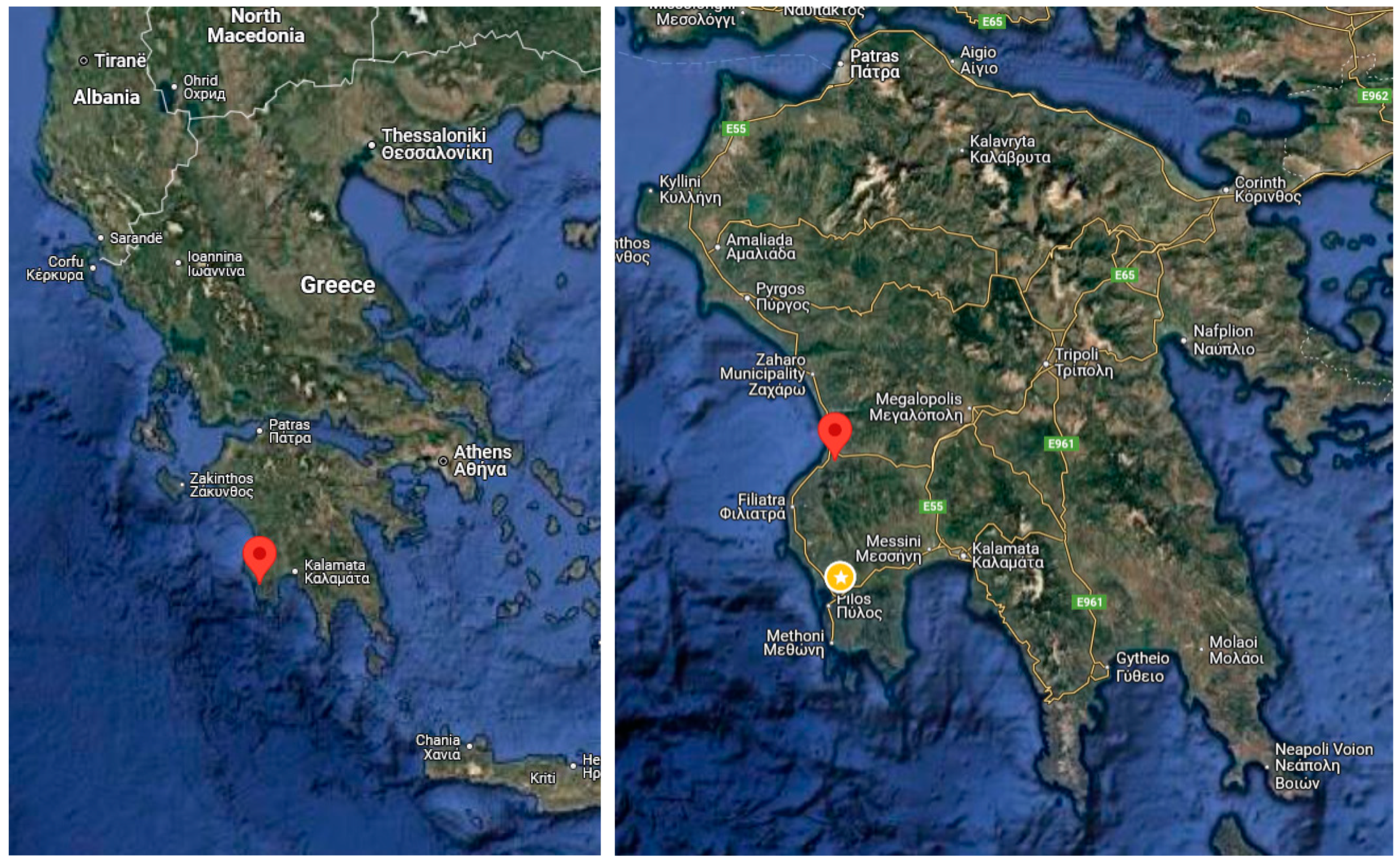 Horticulturae 11 00130 g001