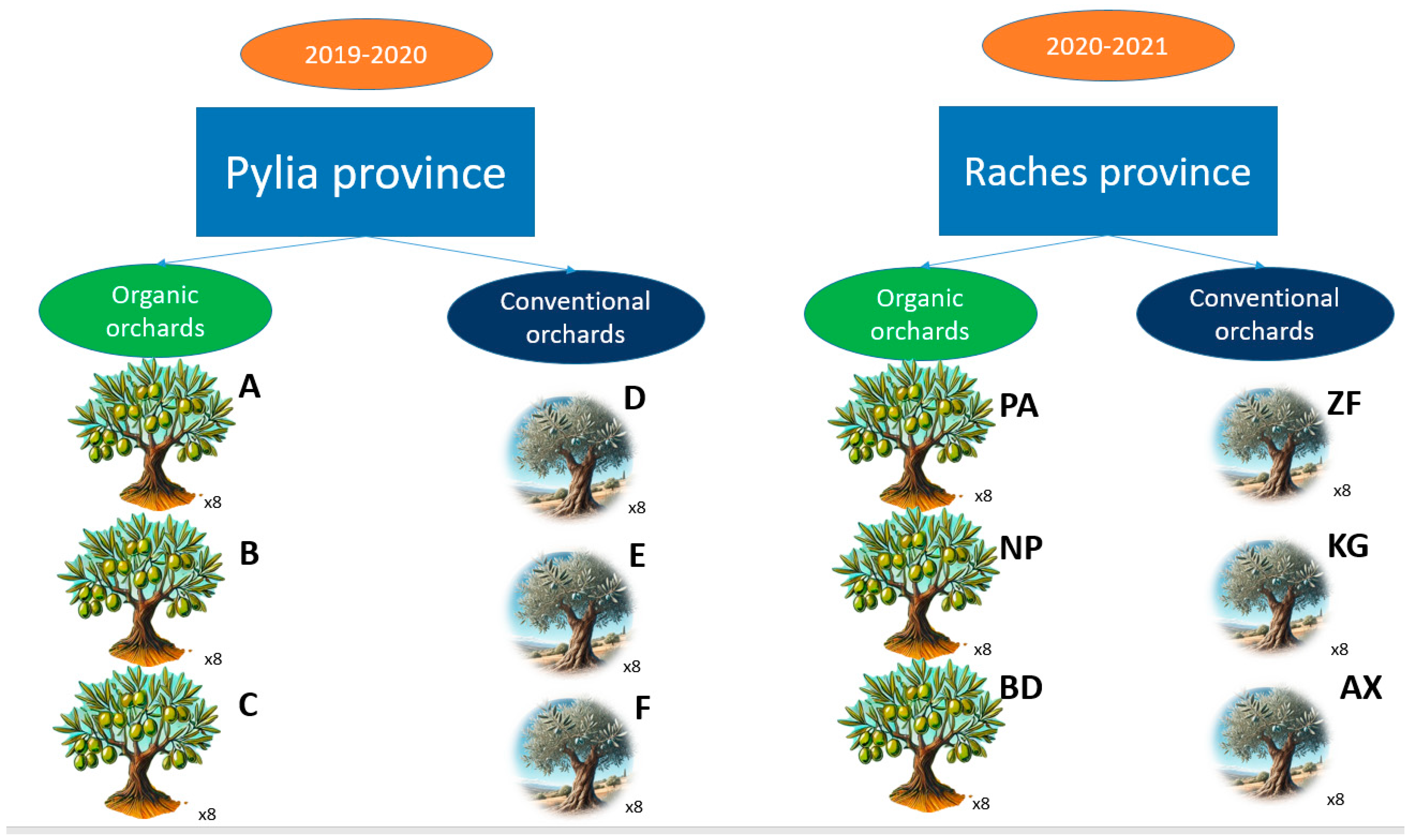 Horticulturae 11 00130 g002