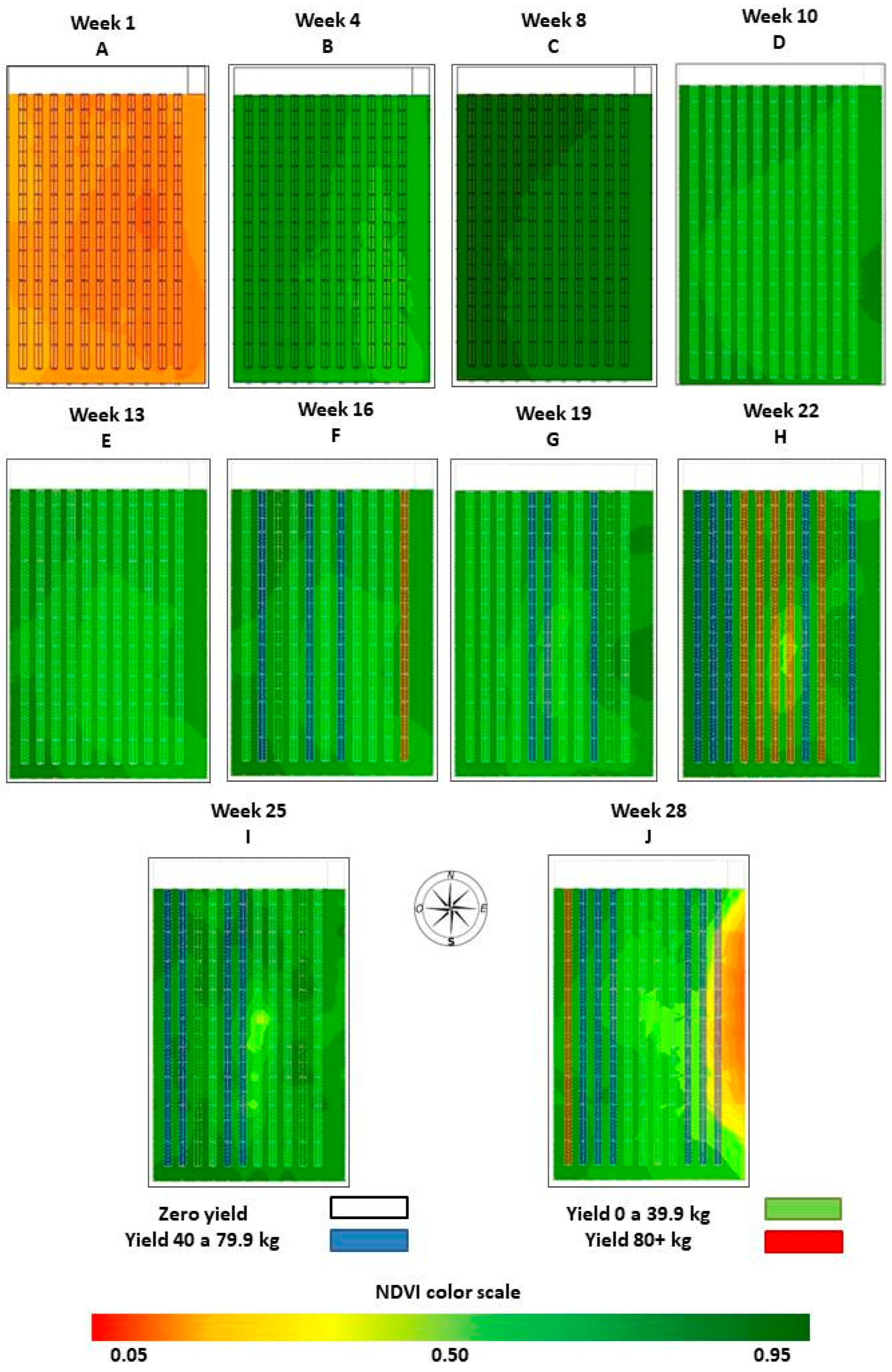 Horticulturae 11 00131 g004