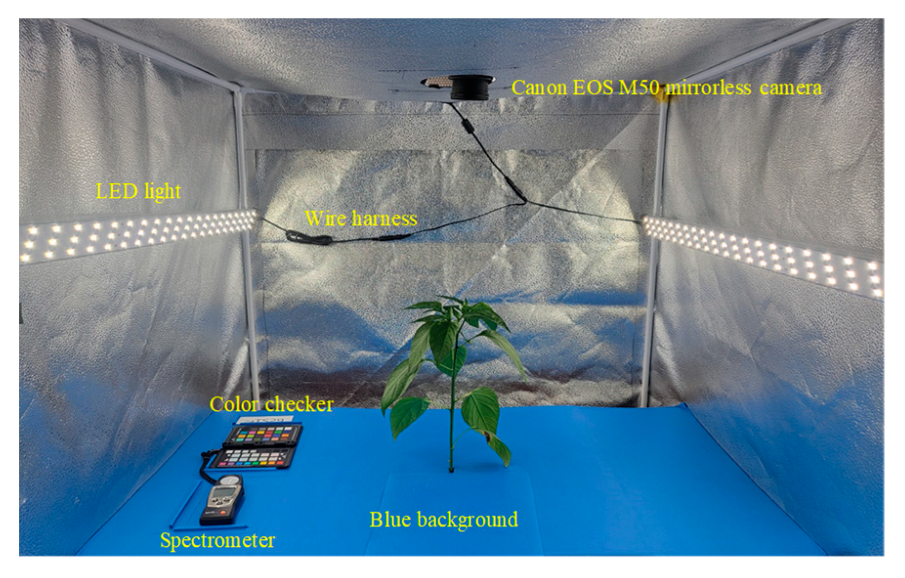 Horticulturae 11 00132 g004