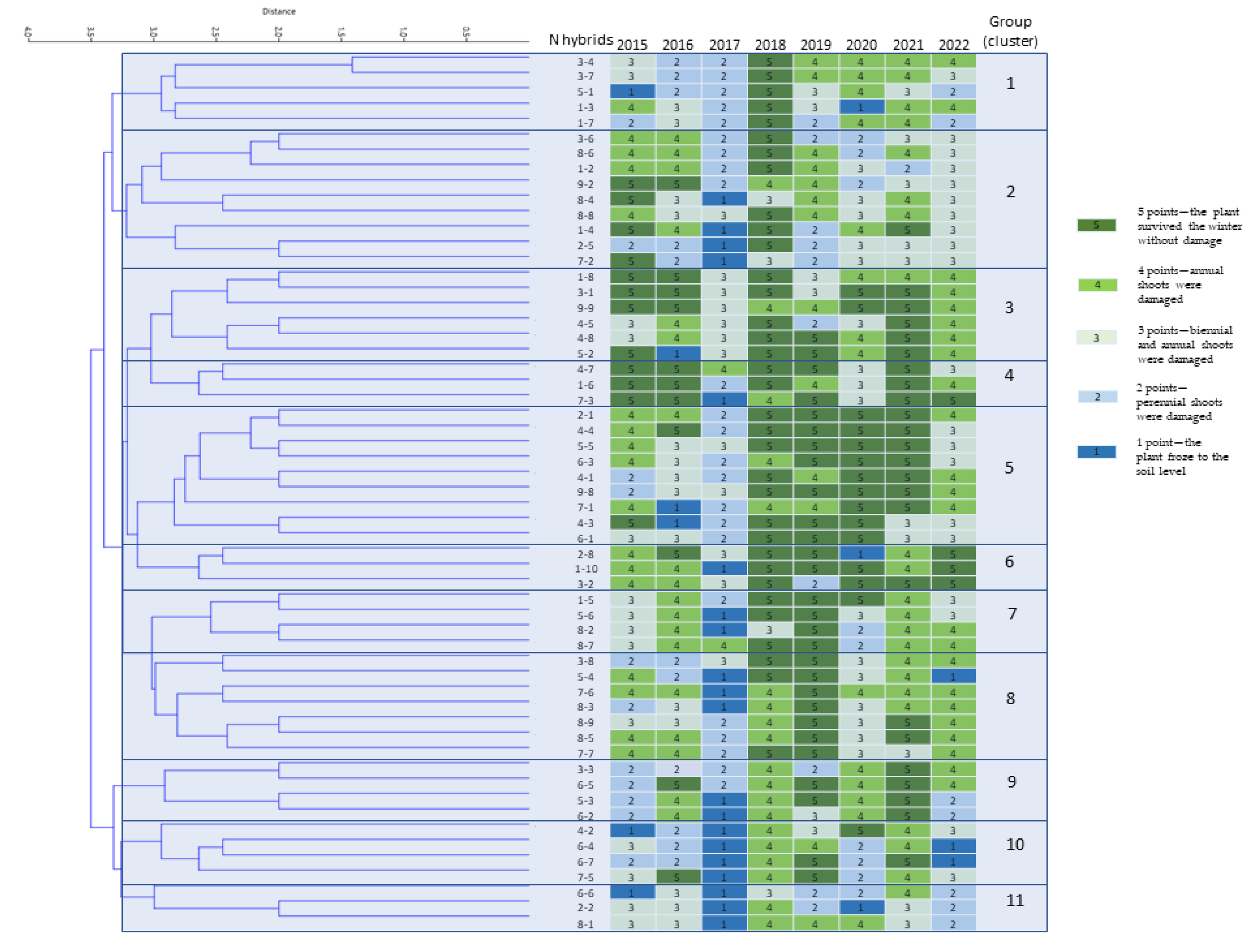 Horticulturae 11 00139 g007