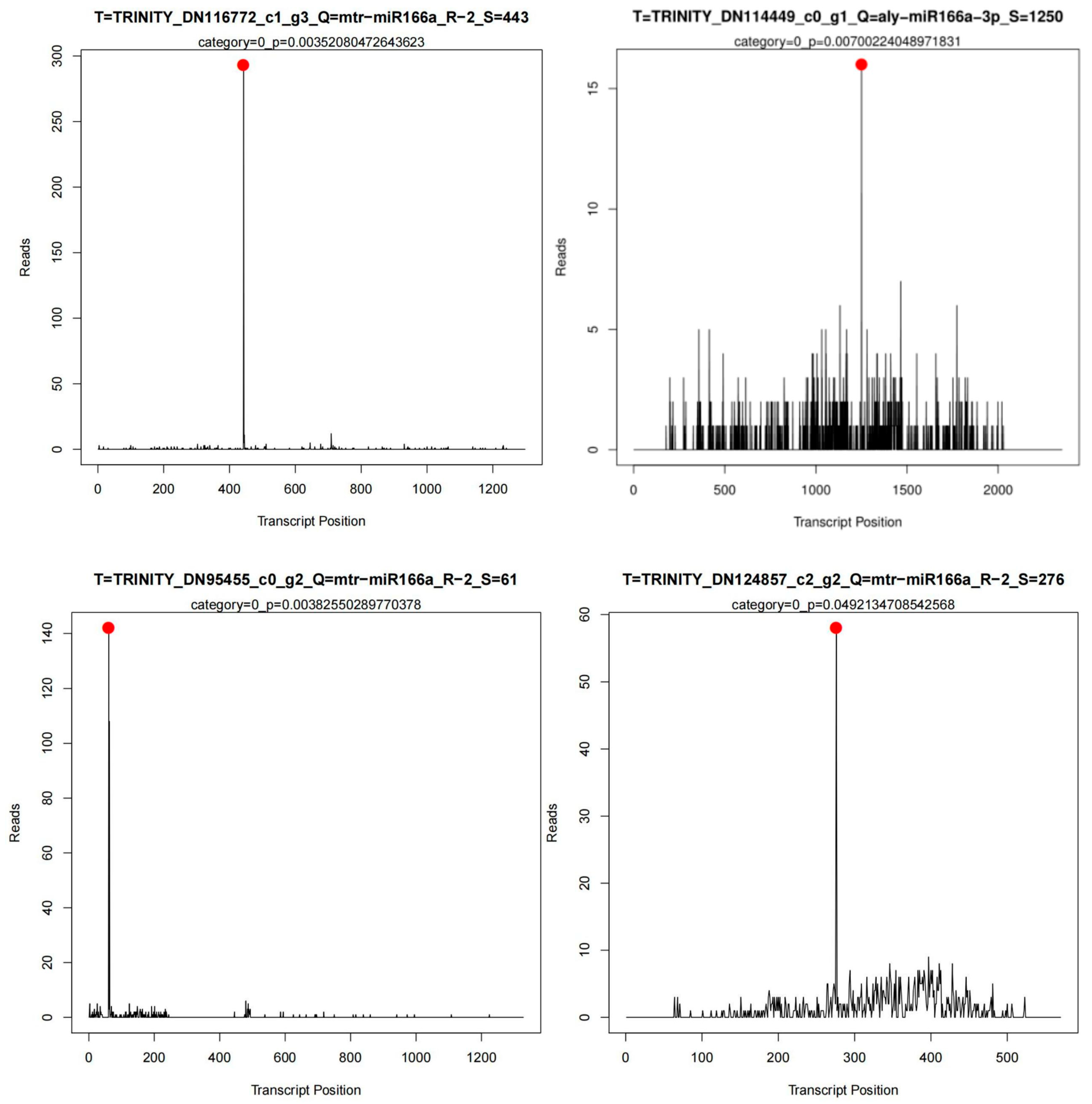 Horticulturae 11 00141 g008b