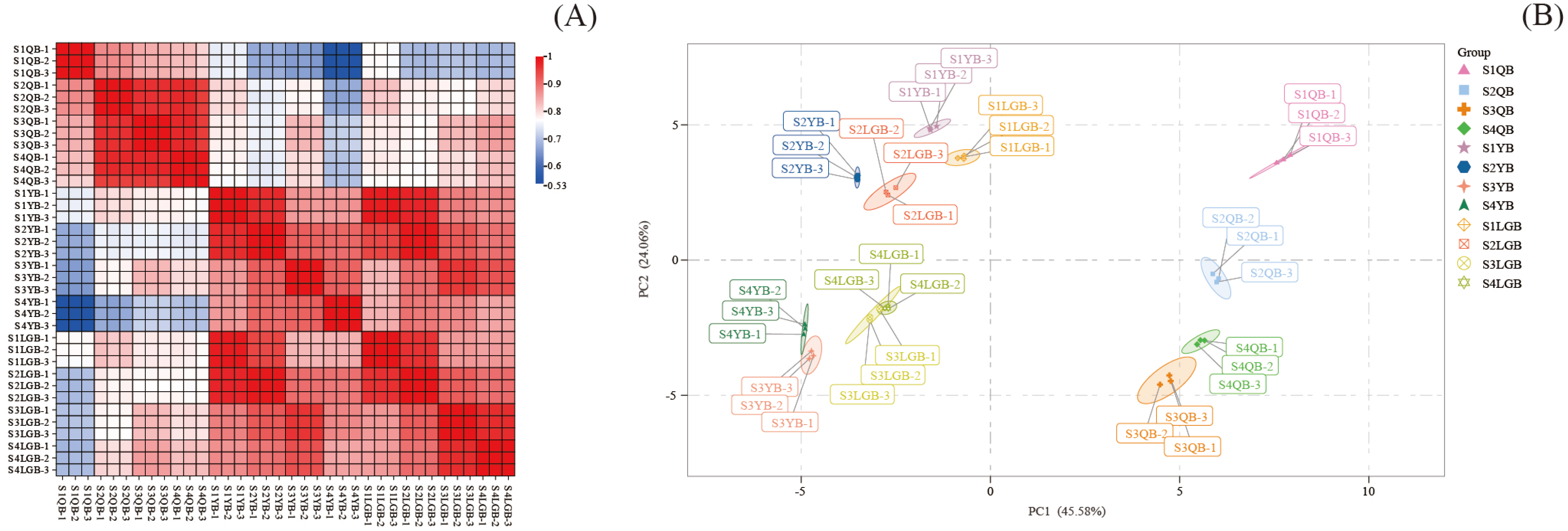 Horticulturae 11 00143 g002