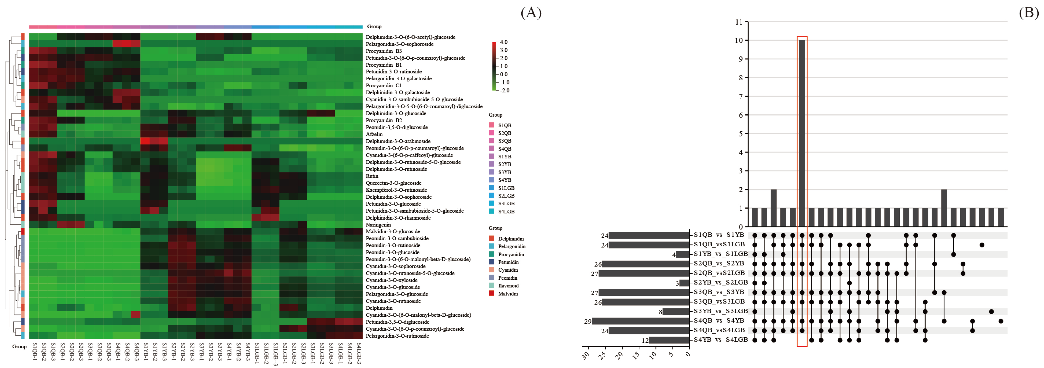 Horticulturae 11 00143 g004