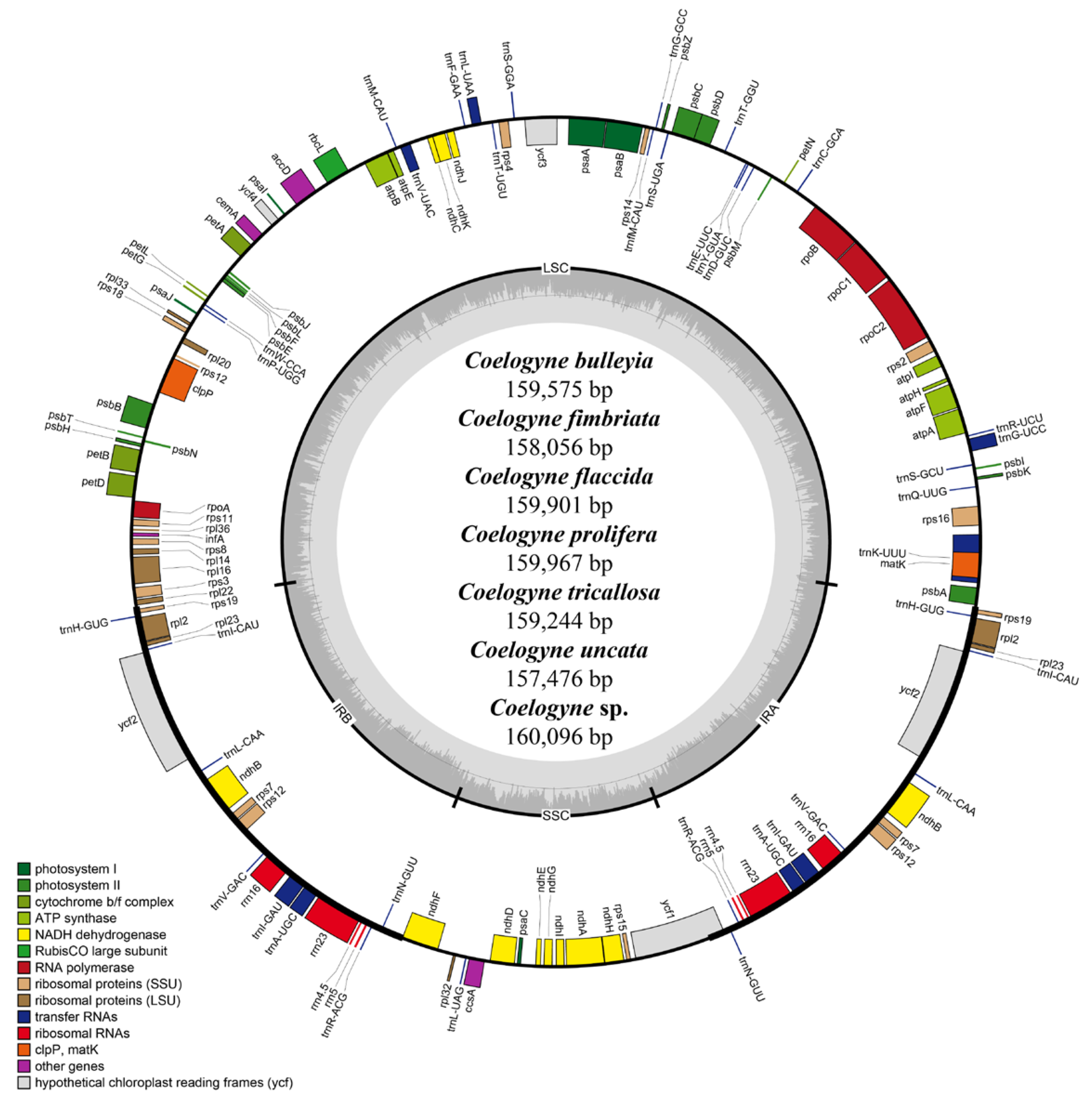 Horticulturae 11 00144 g001