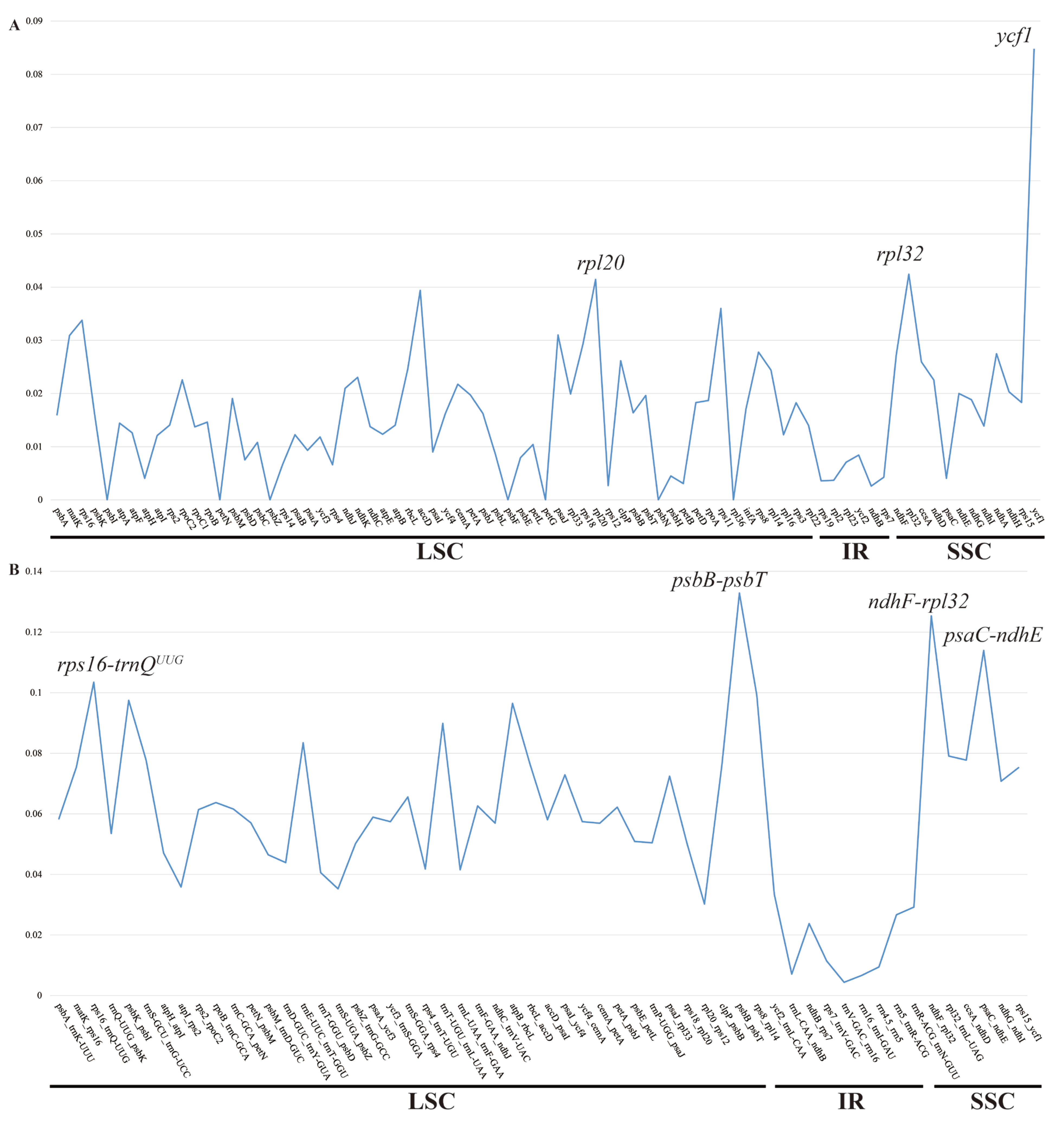 Horticulturae 11 00144 g006