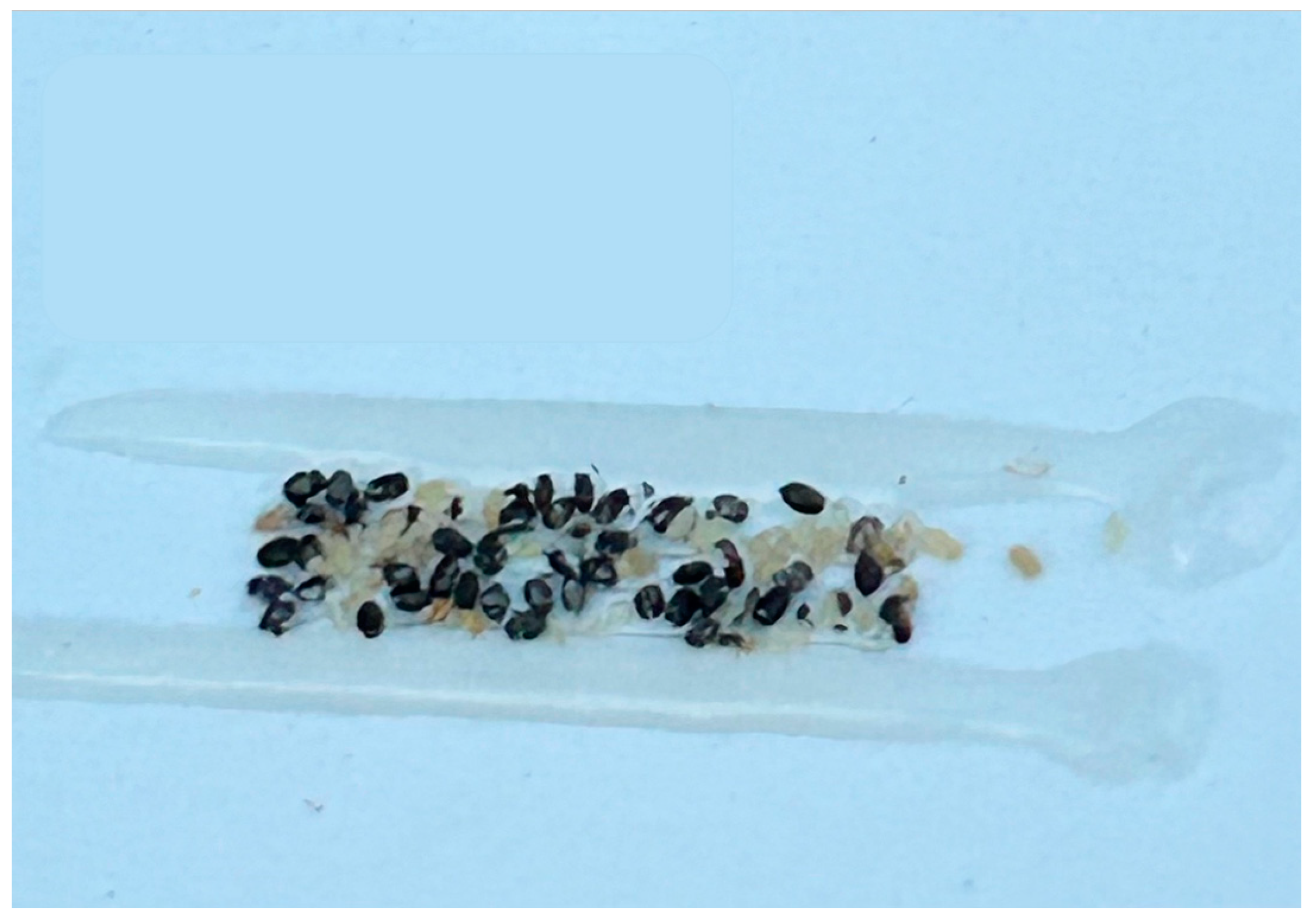 Horticulturae 11 00155 g003 Horticulturae 11 00155 g003