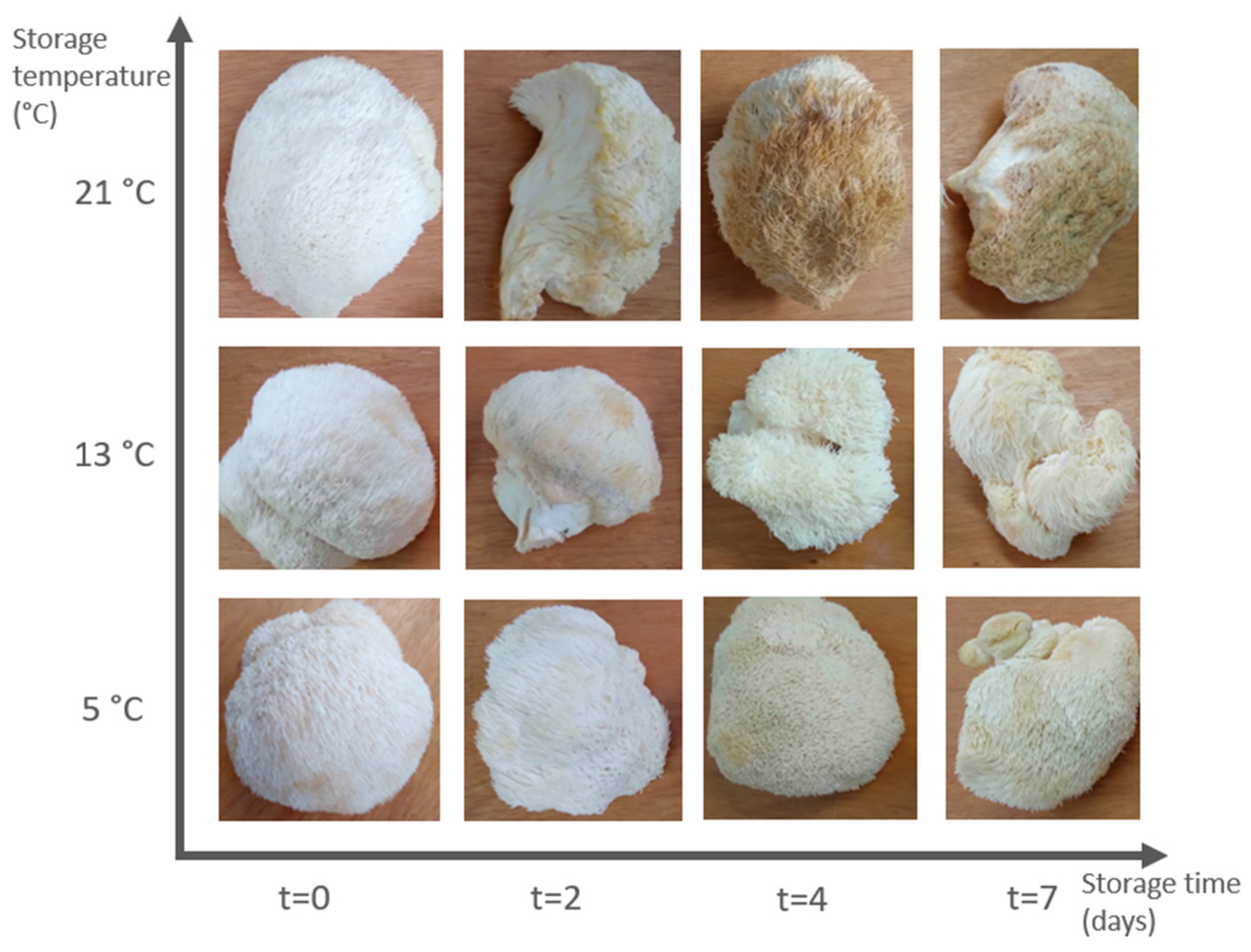 Horticulturae 11 00158 g003