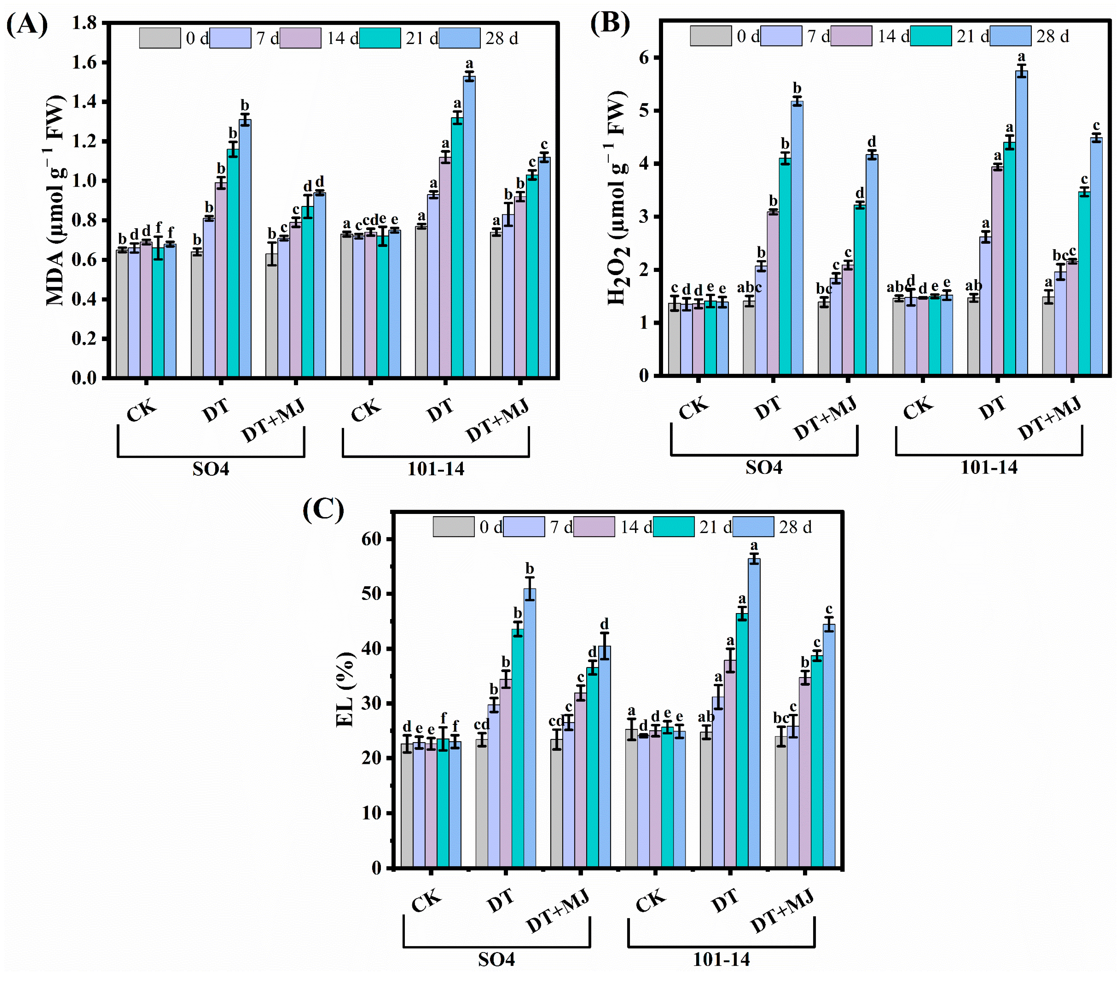 Horticulturae 11 00164 g004