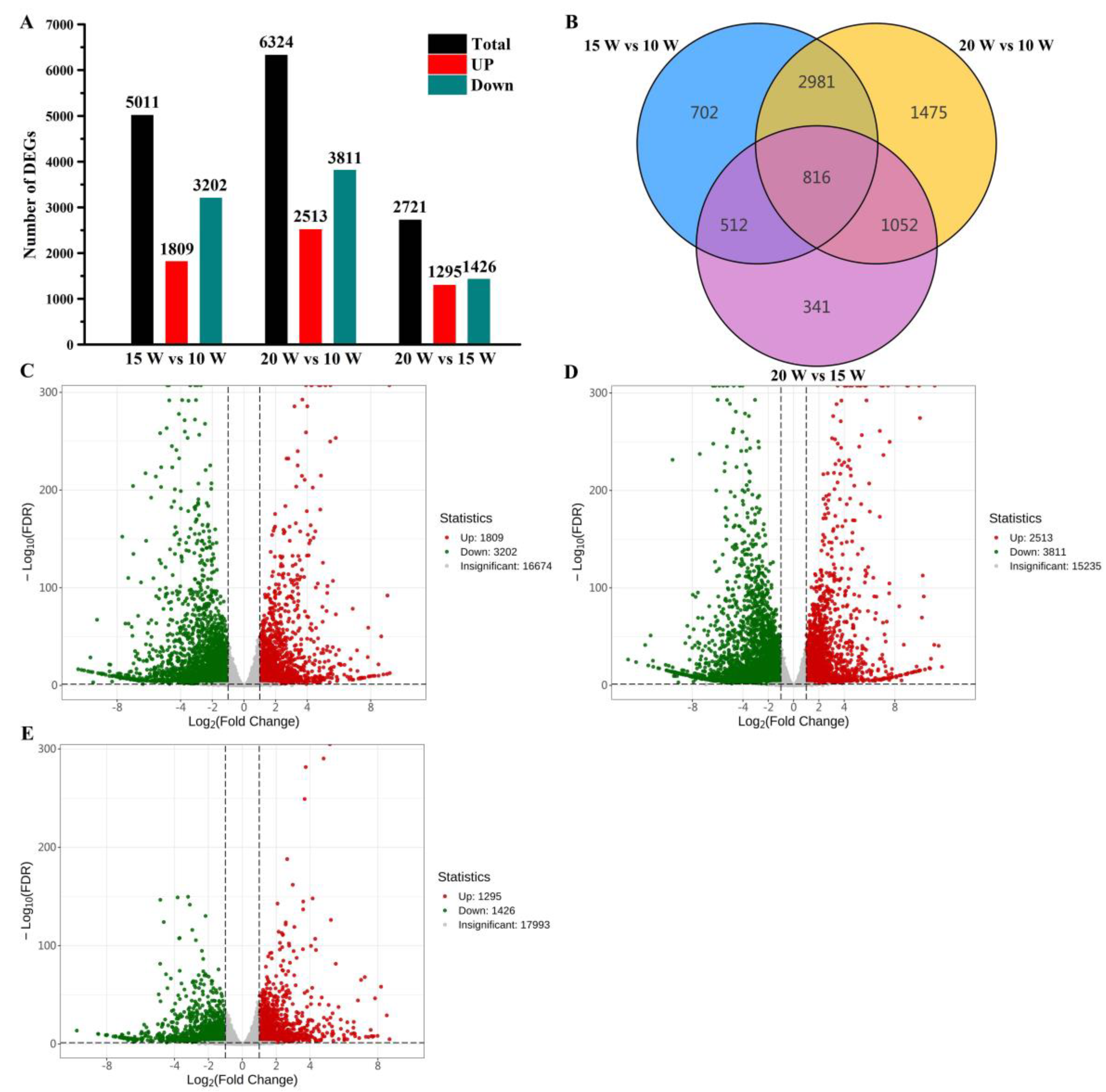 Horticulturae 11 00167 g005