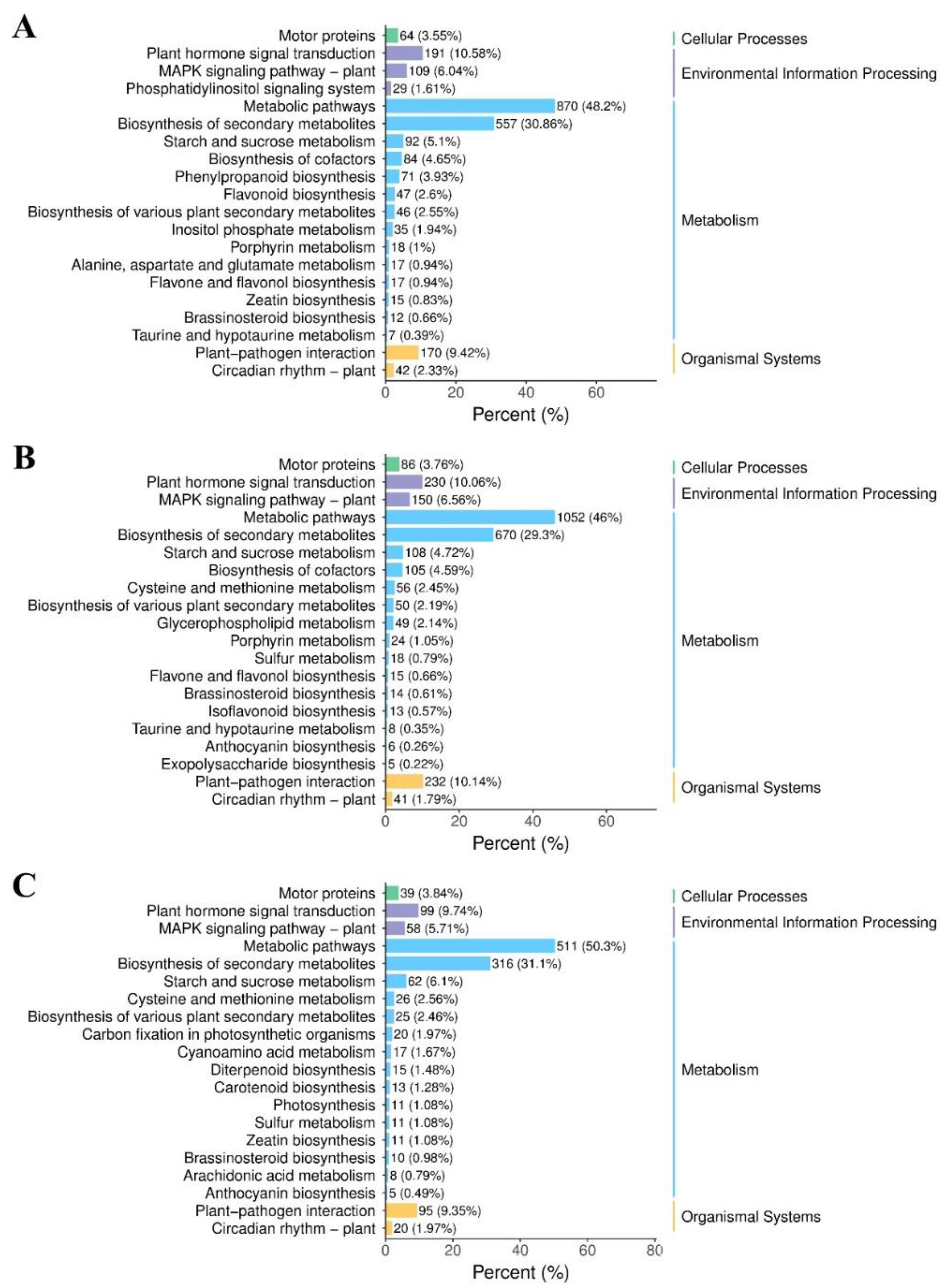 Horticulturae 11 00167 g007