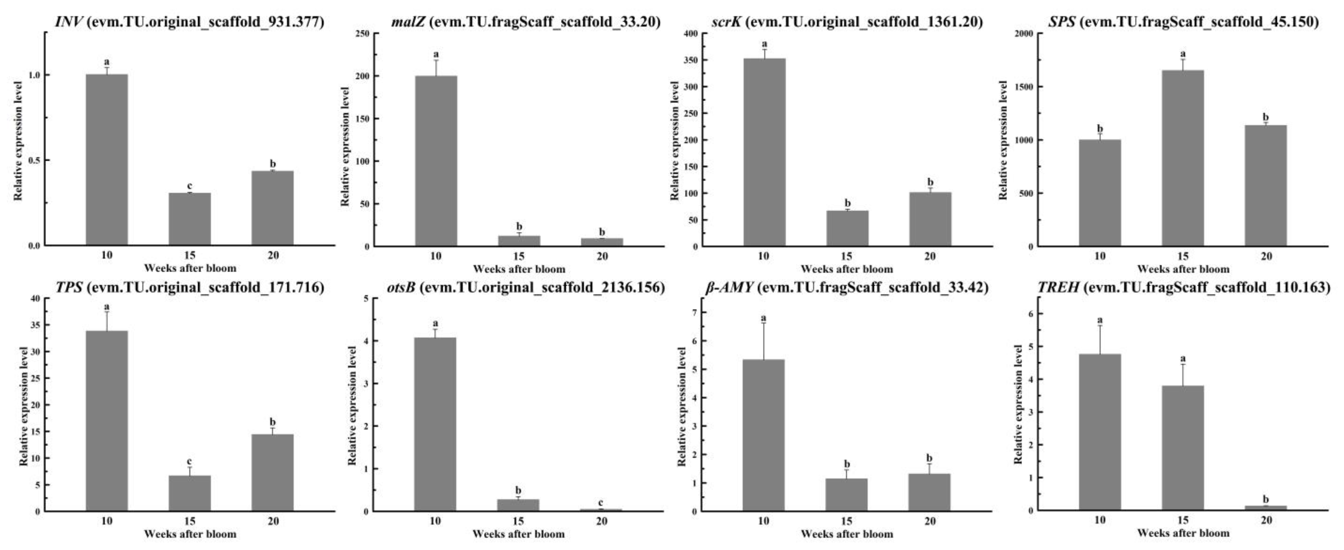 Horticulturae 11 00167 g010
