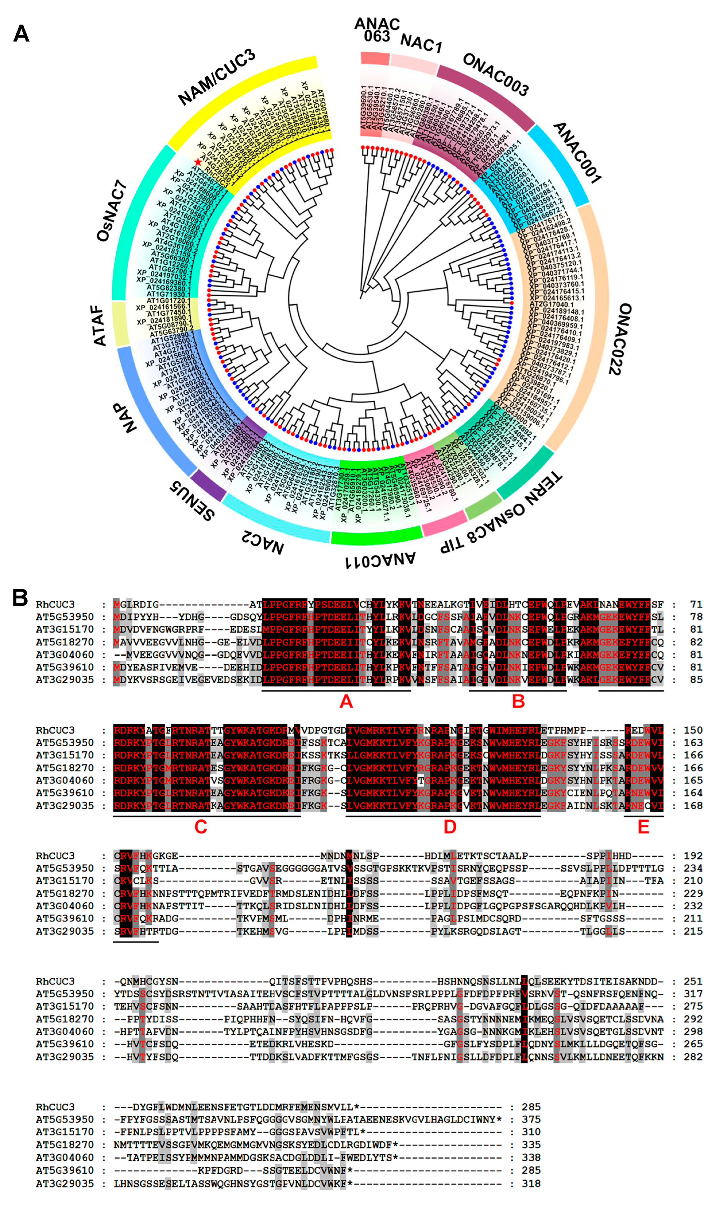 Horticulturae 11 00170 g001 Horticulturae 11 00170 g001