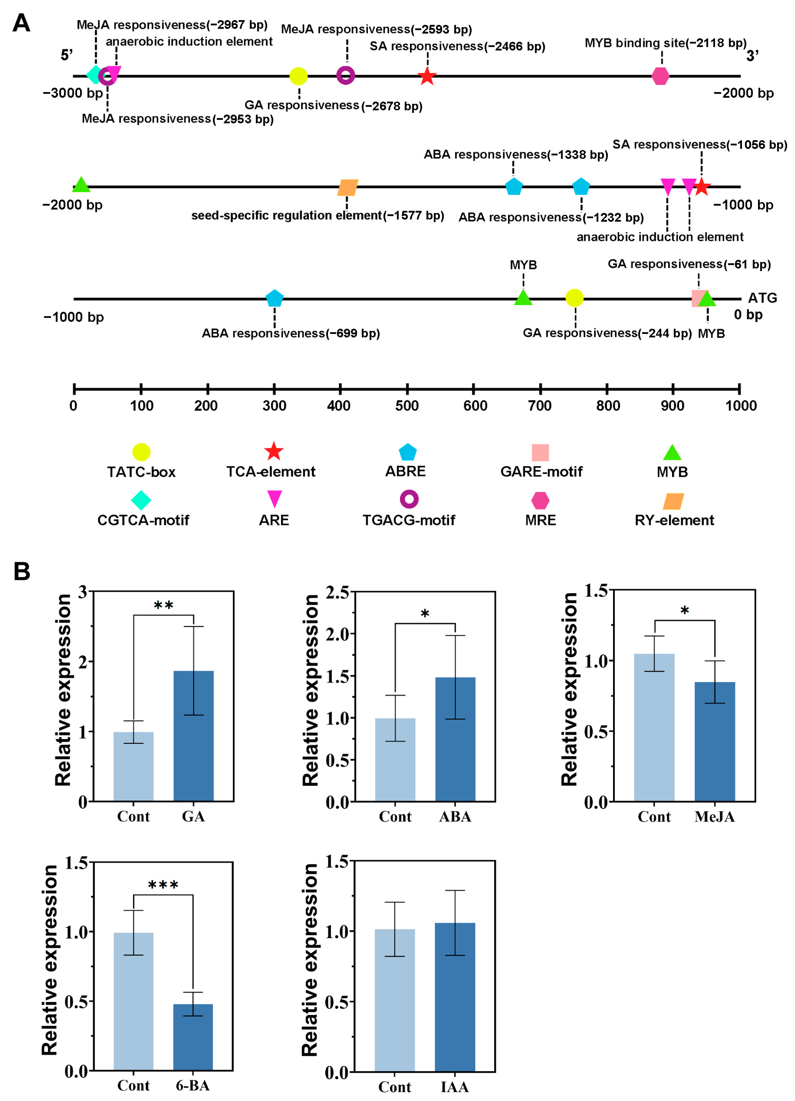 Horticulturae 11 00170 g003 Horticulturae 11 00170 g003