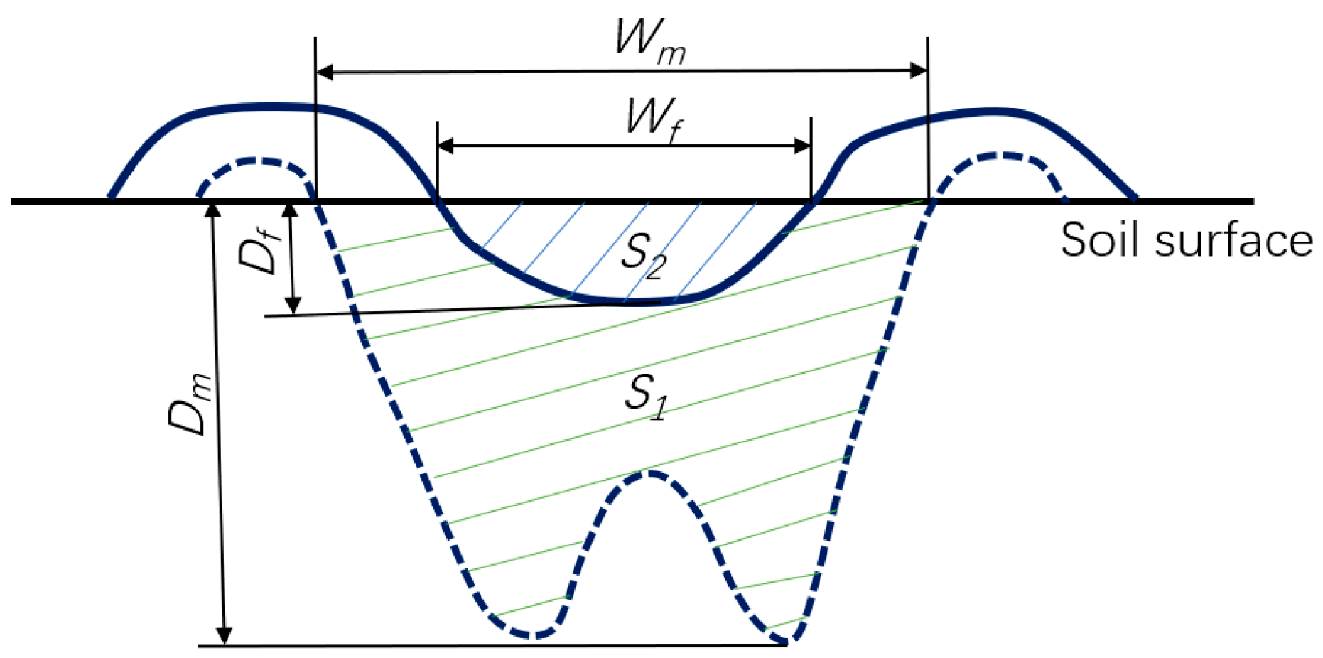 Horticulturae 11 00171 g010