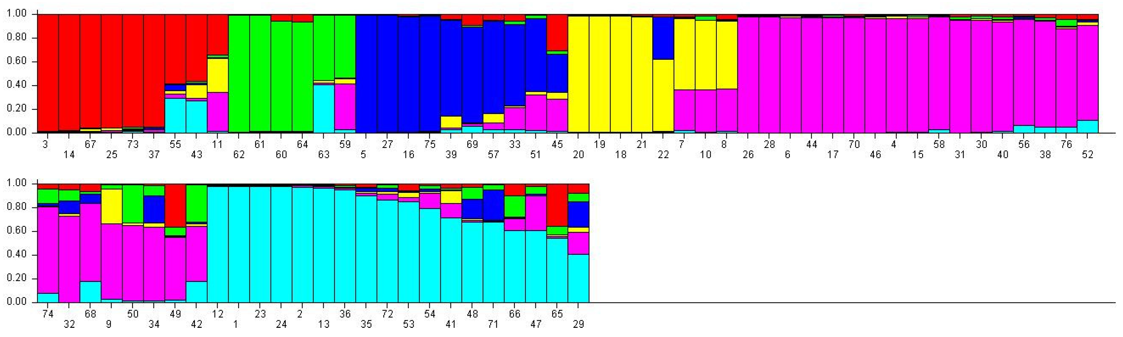 Horticulturae 11 00174 g004