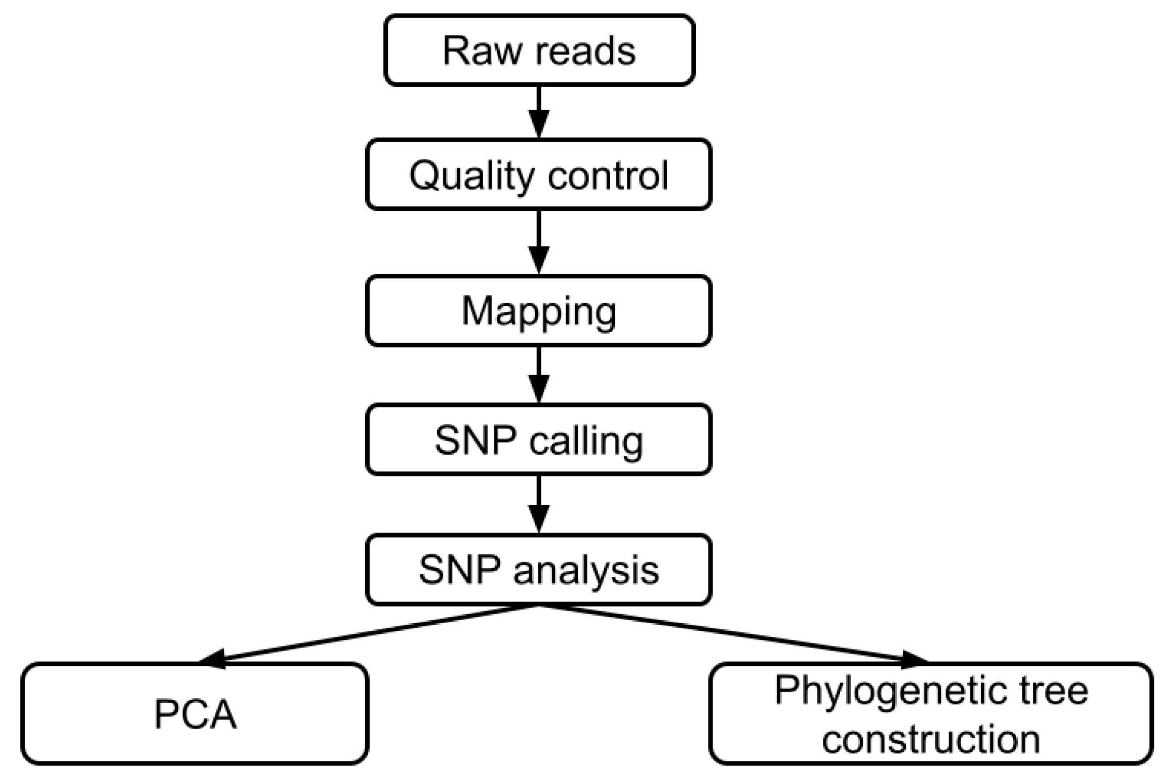 Horticulturae 11 00189 g001