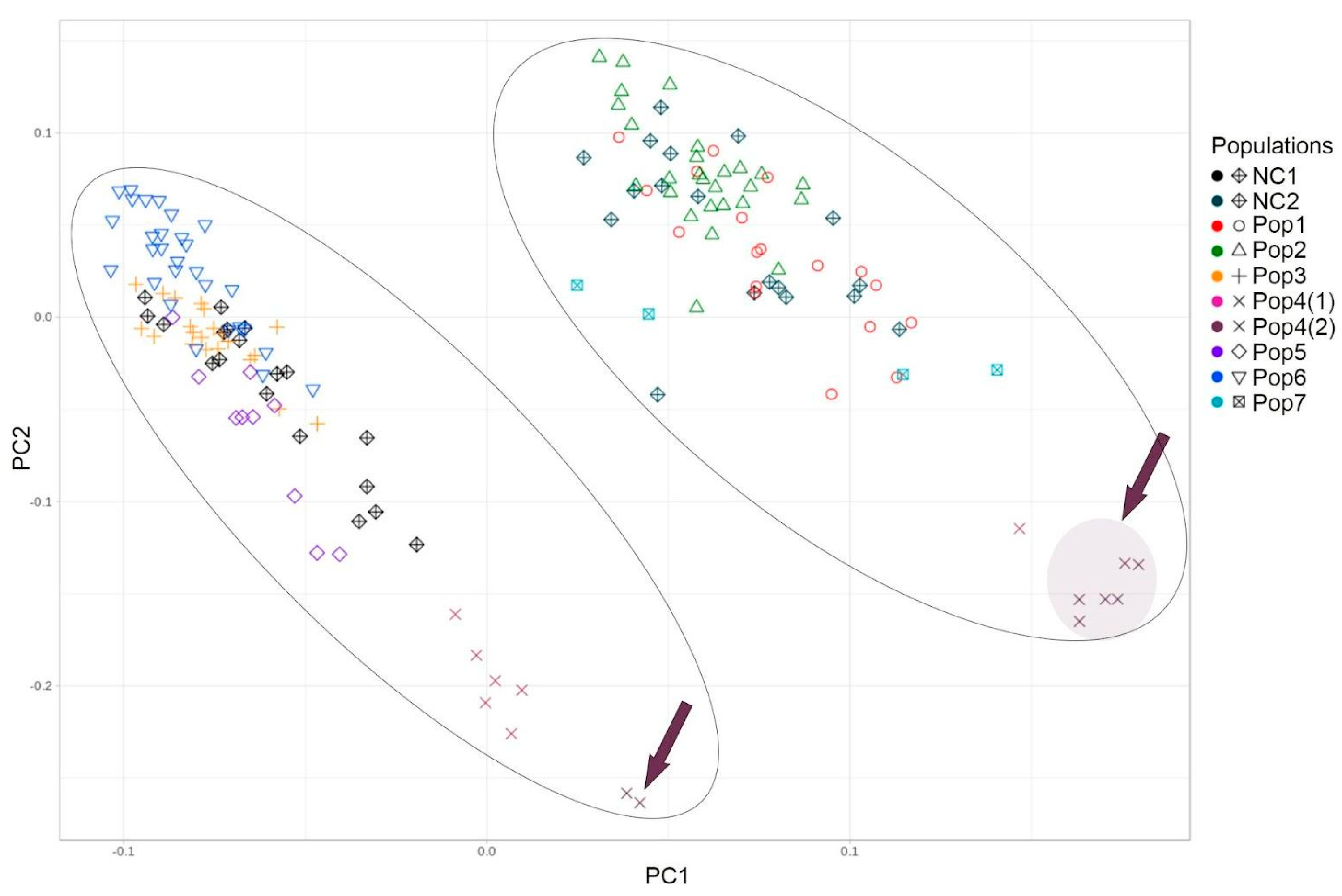 Horticulturae 11 00189 g006