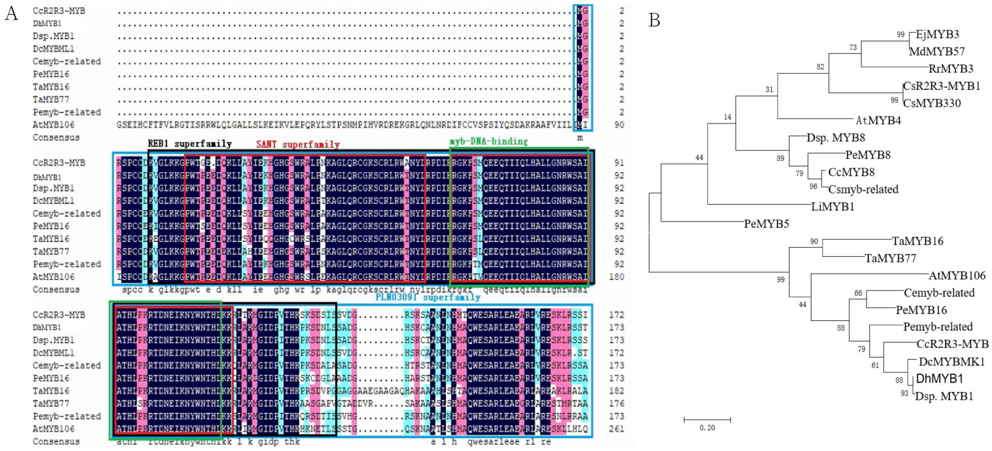 Horticulturae 11 00190 g004 Horticulturae 11 00190 g004