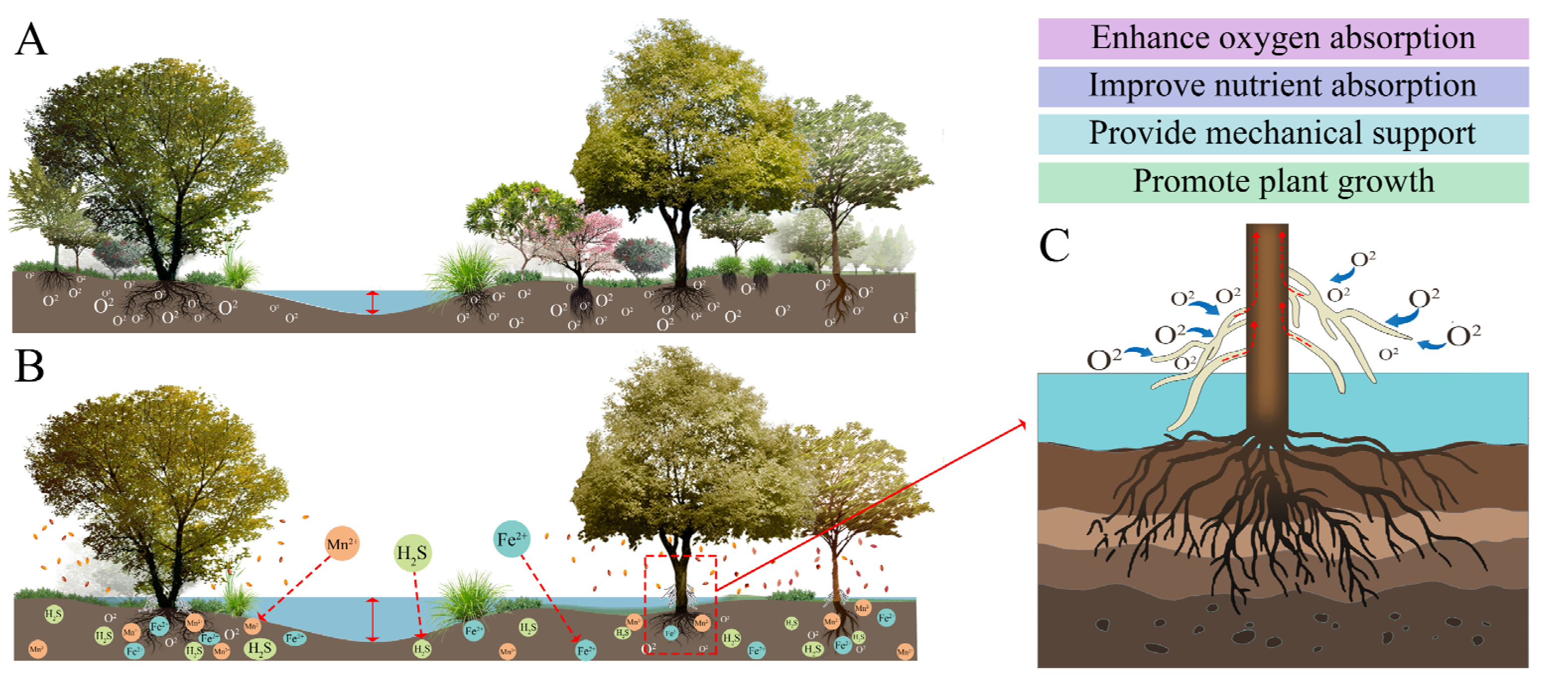 Horticulturae 11 00195 g004 Horticulturae 11 00195 g004
