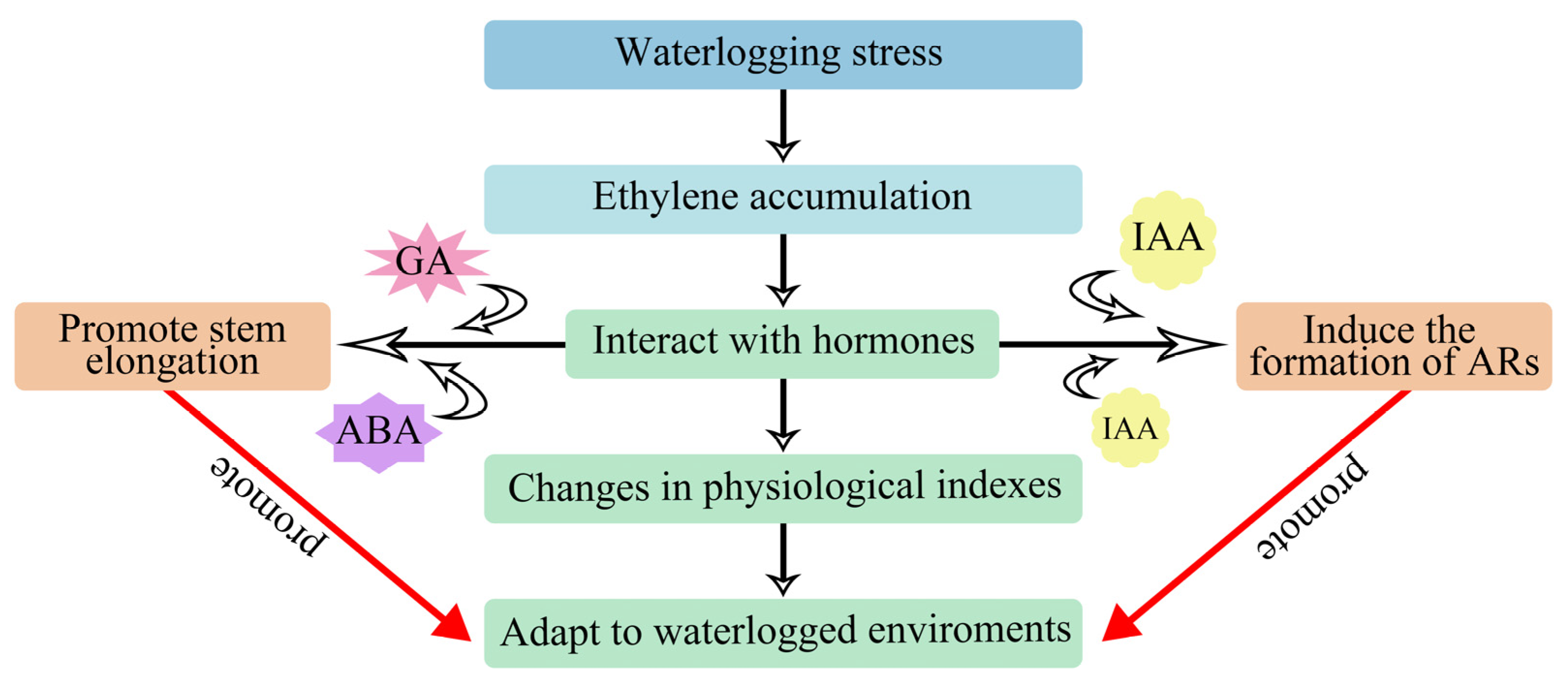 Horticulturae 11 00195 g005 Horticulturae 11 00195 g005
