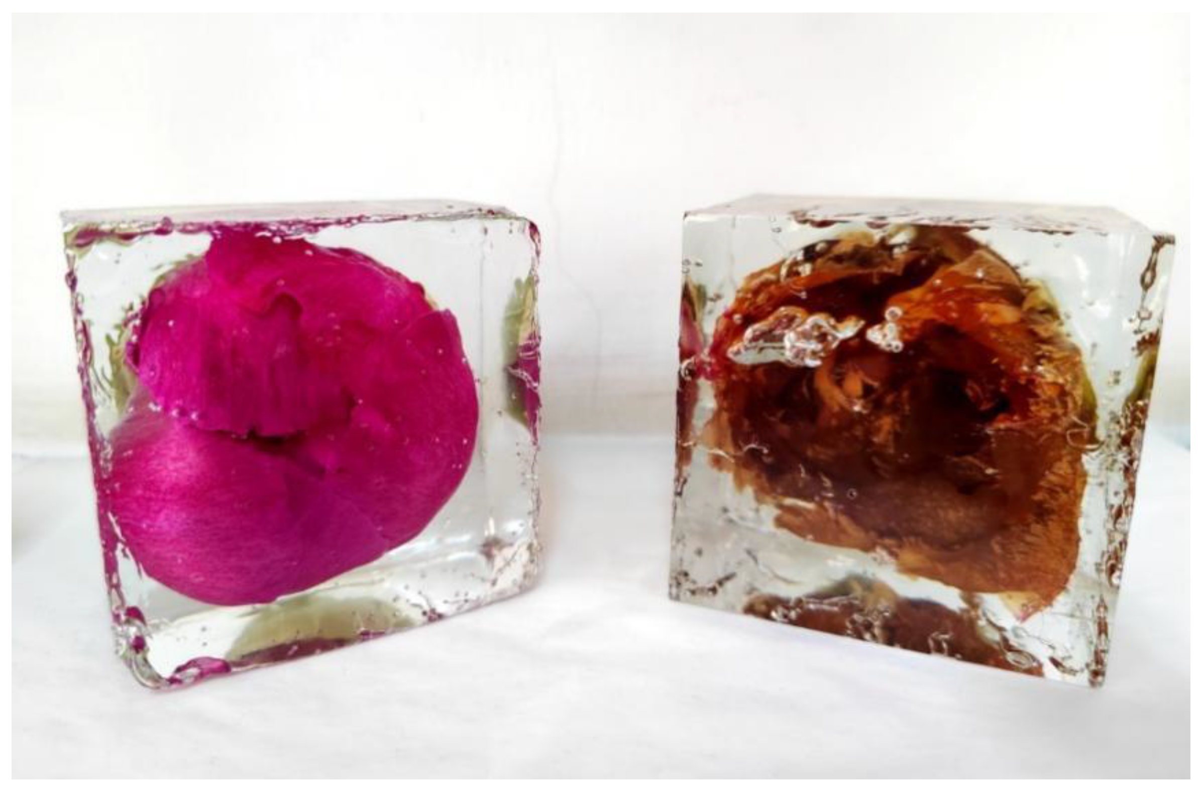 Horticulturae 11 00196 g004