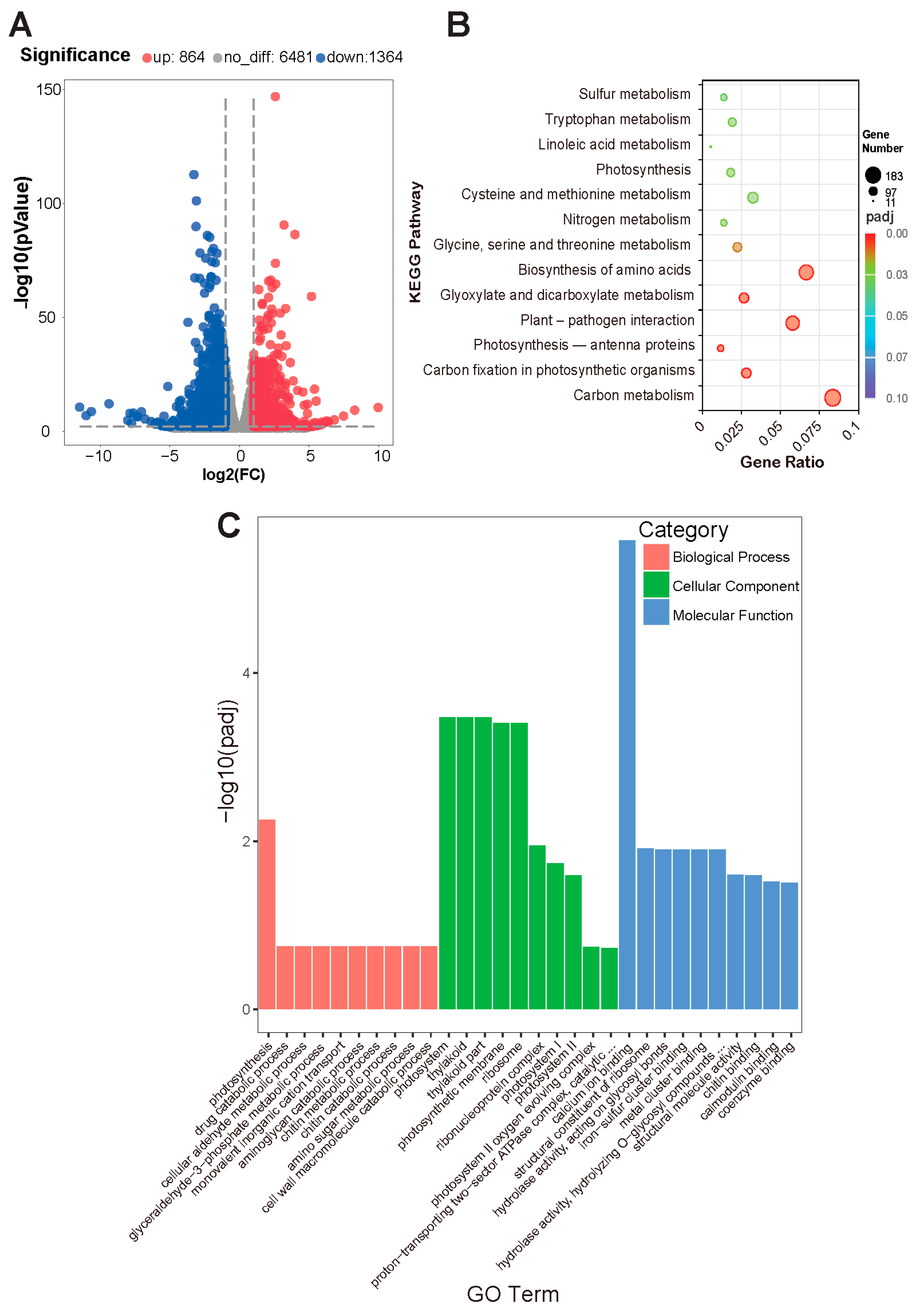 Horticulturae 11 00197 g007