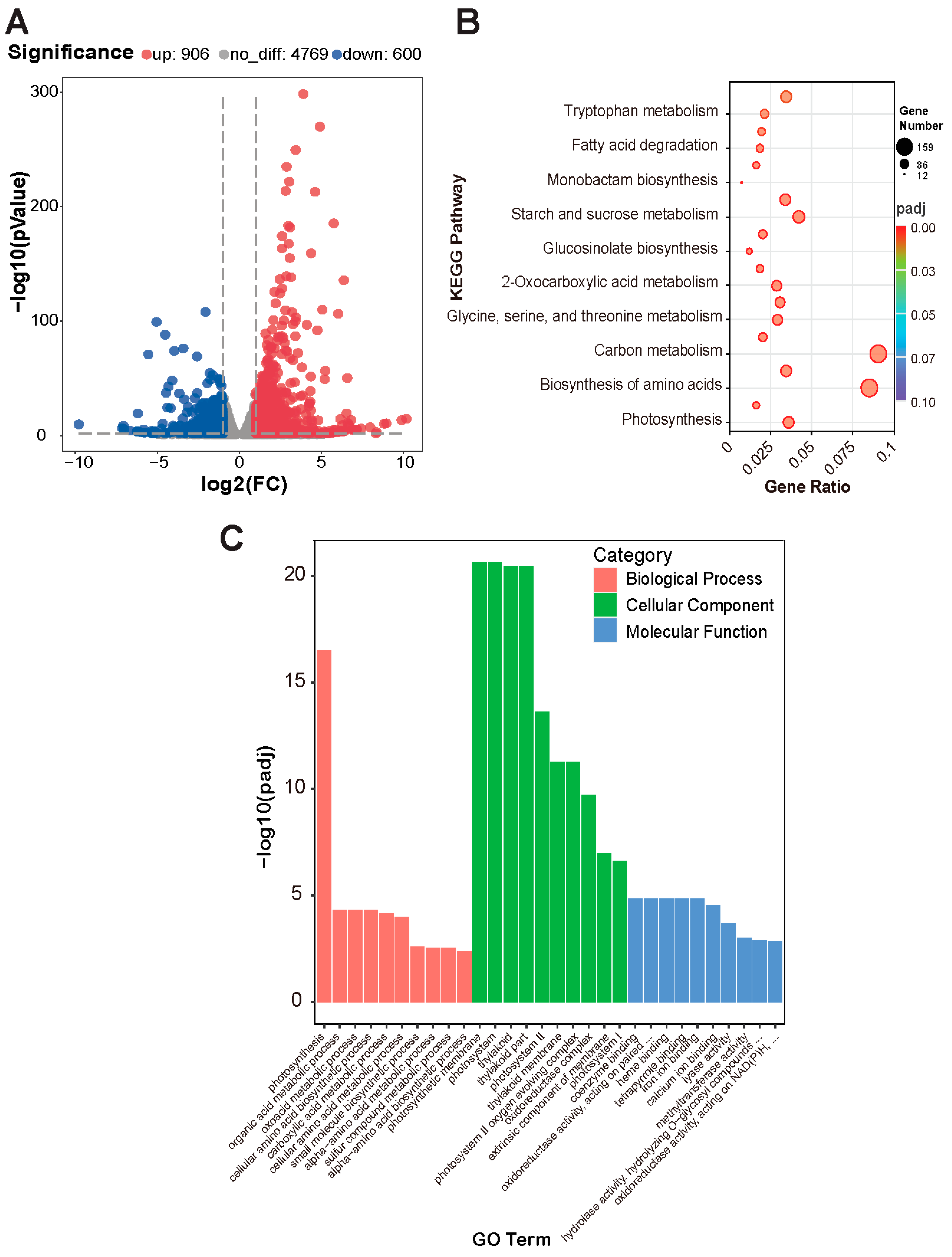 Horticulturae 11 00197 g008