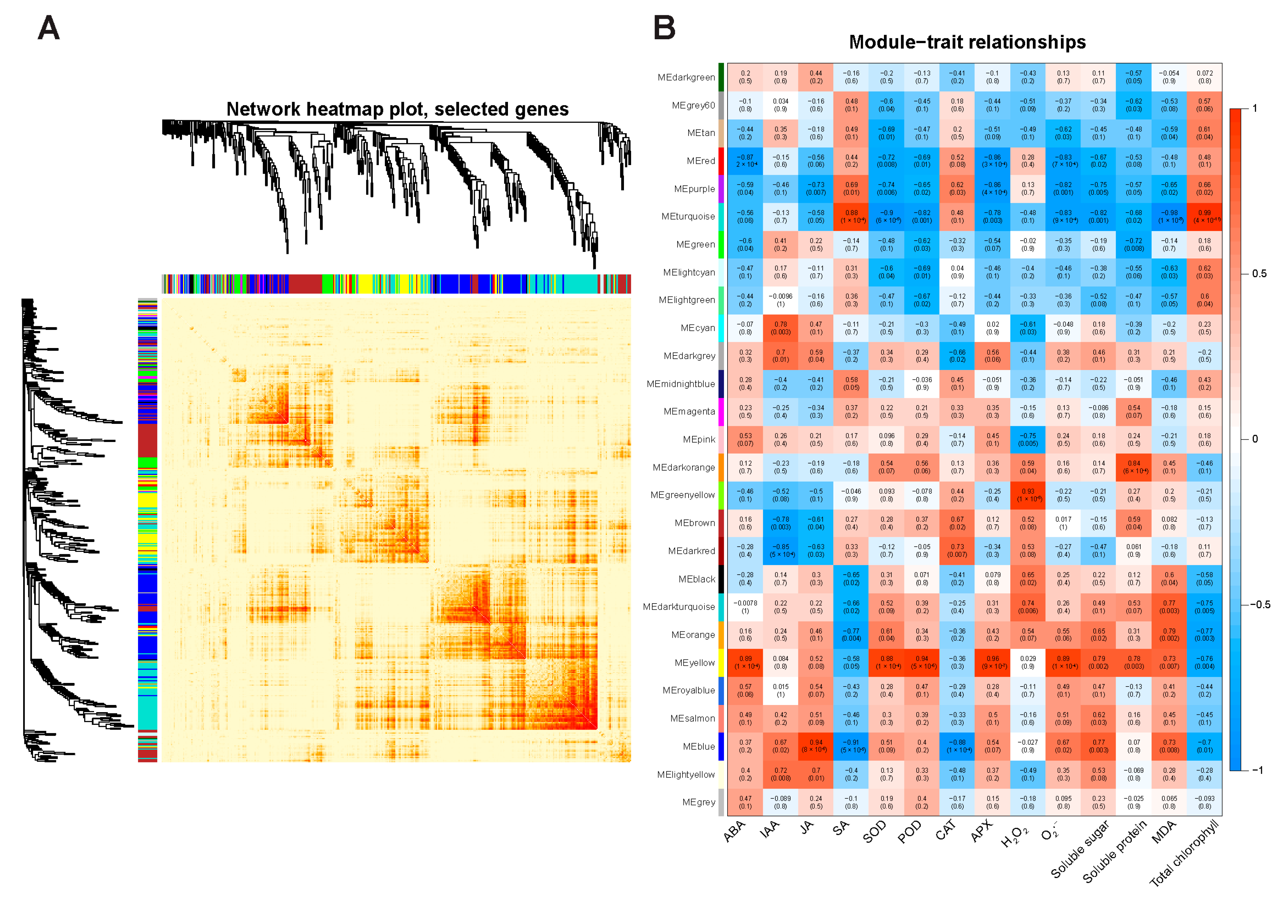 Horticulturae 11 00197 g010