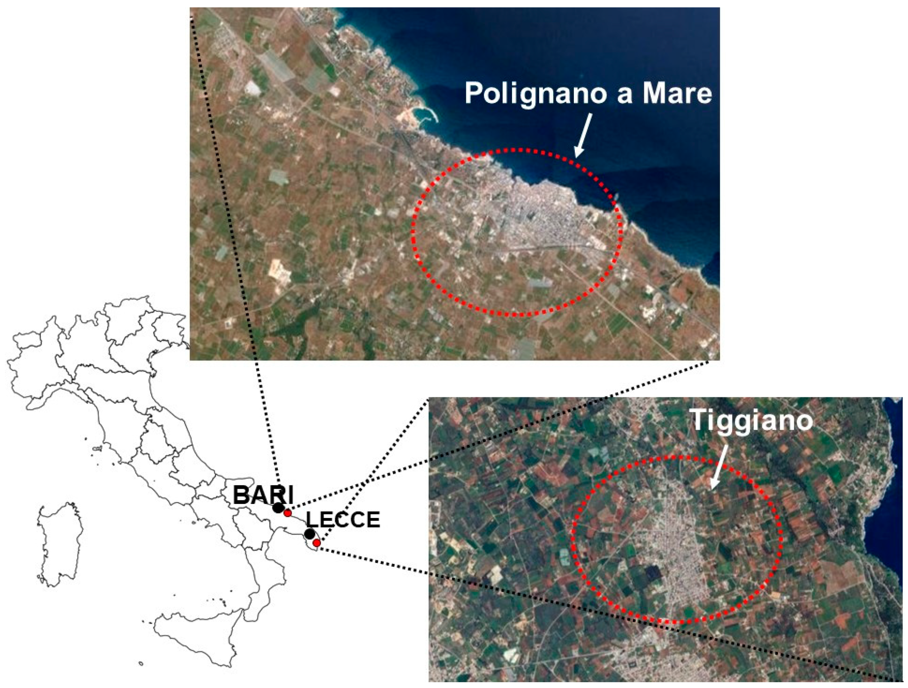Horticulturae 11 00199 g002