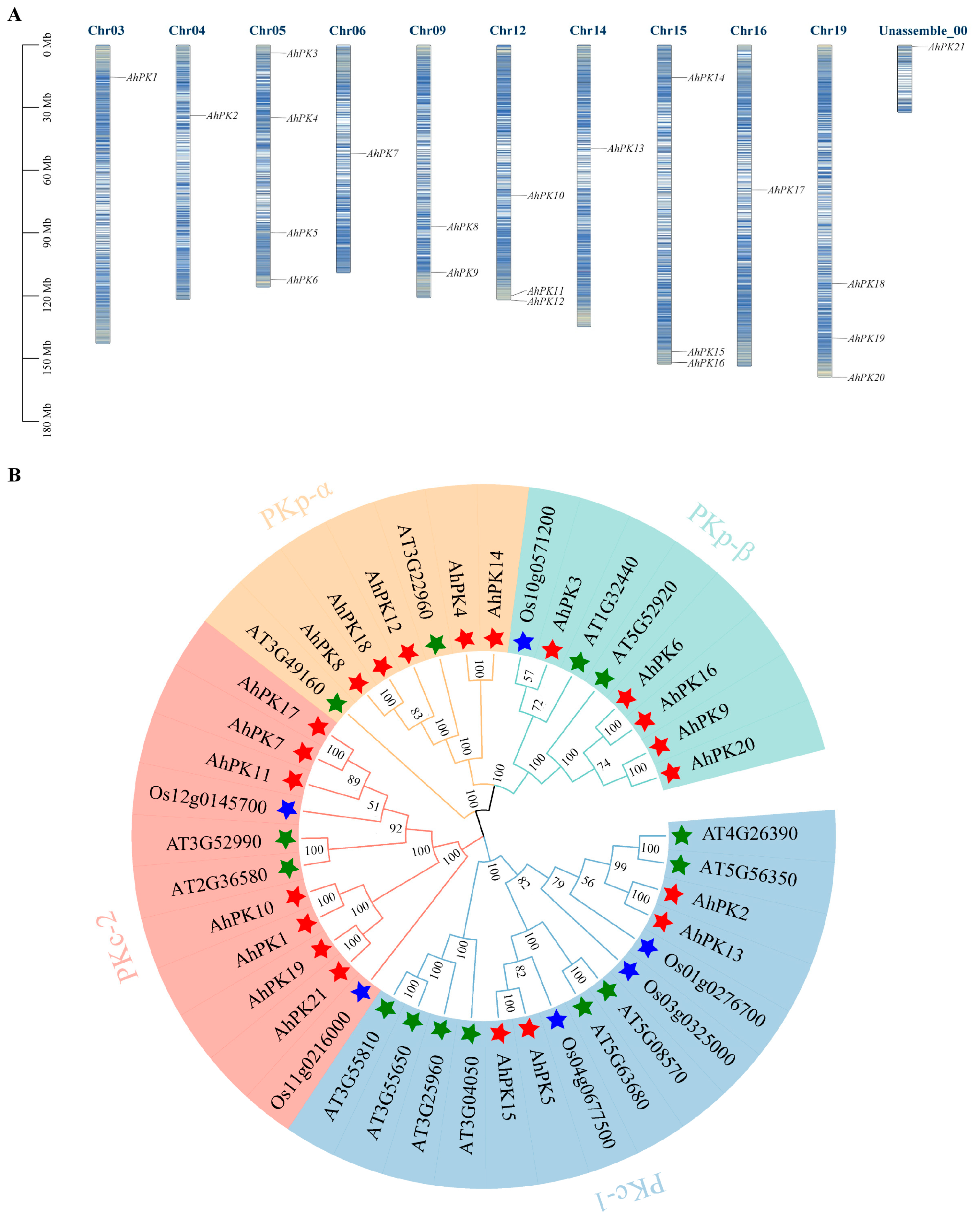 Horticulturae 11 00200 g001