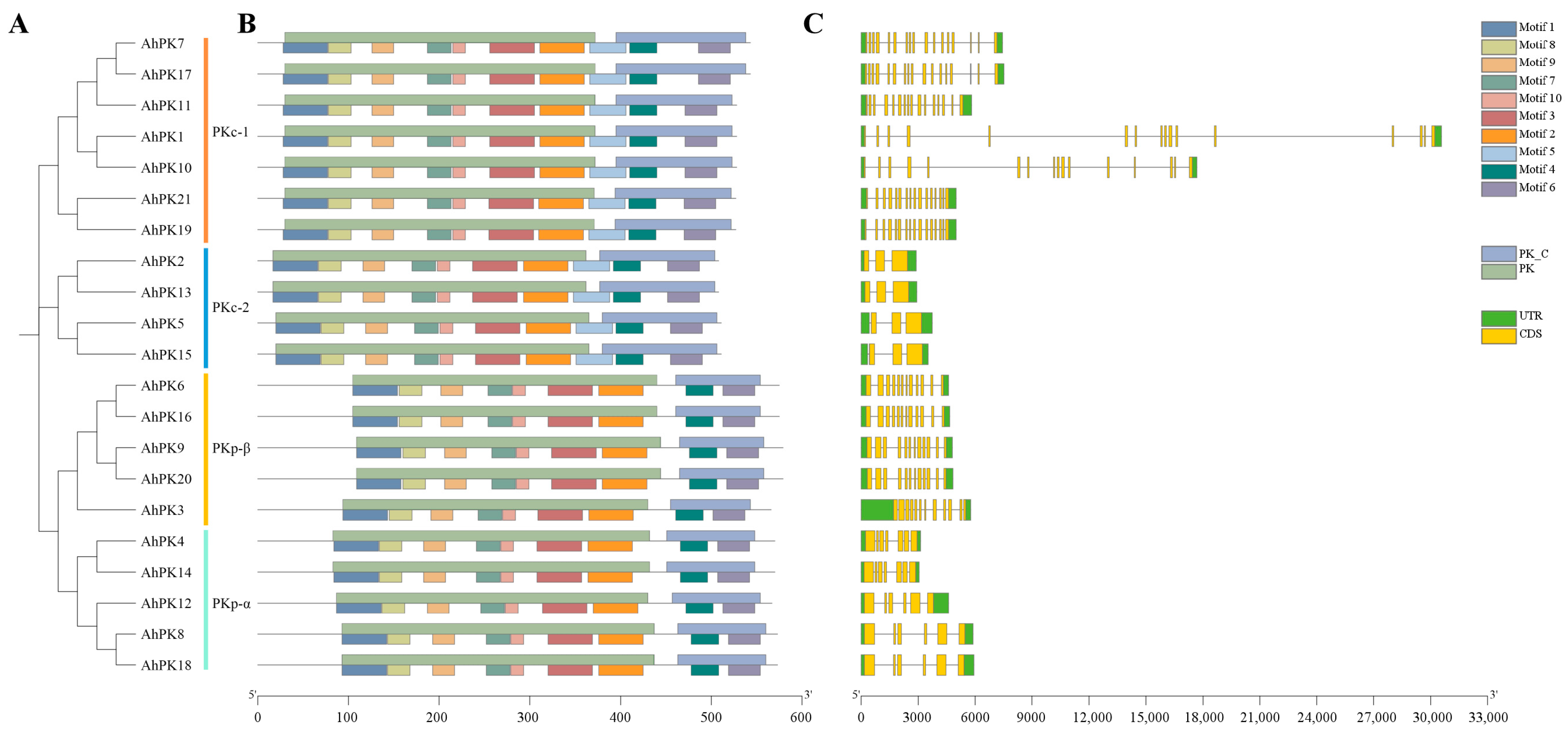 Horticulturae 11 00200 g002