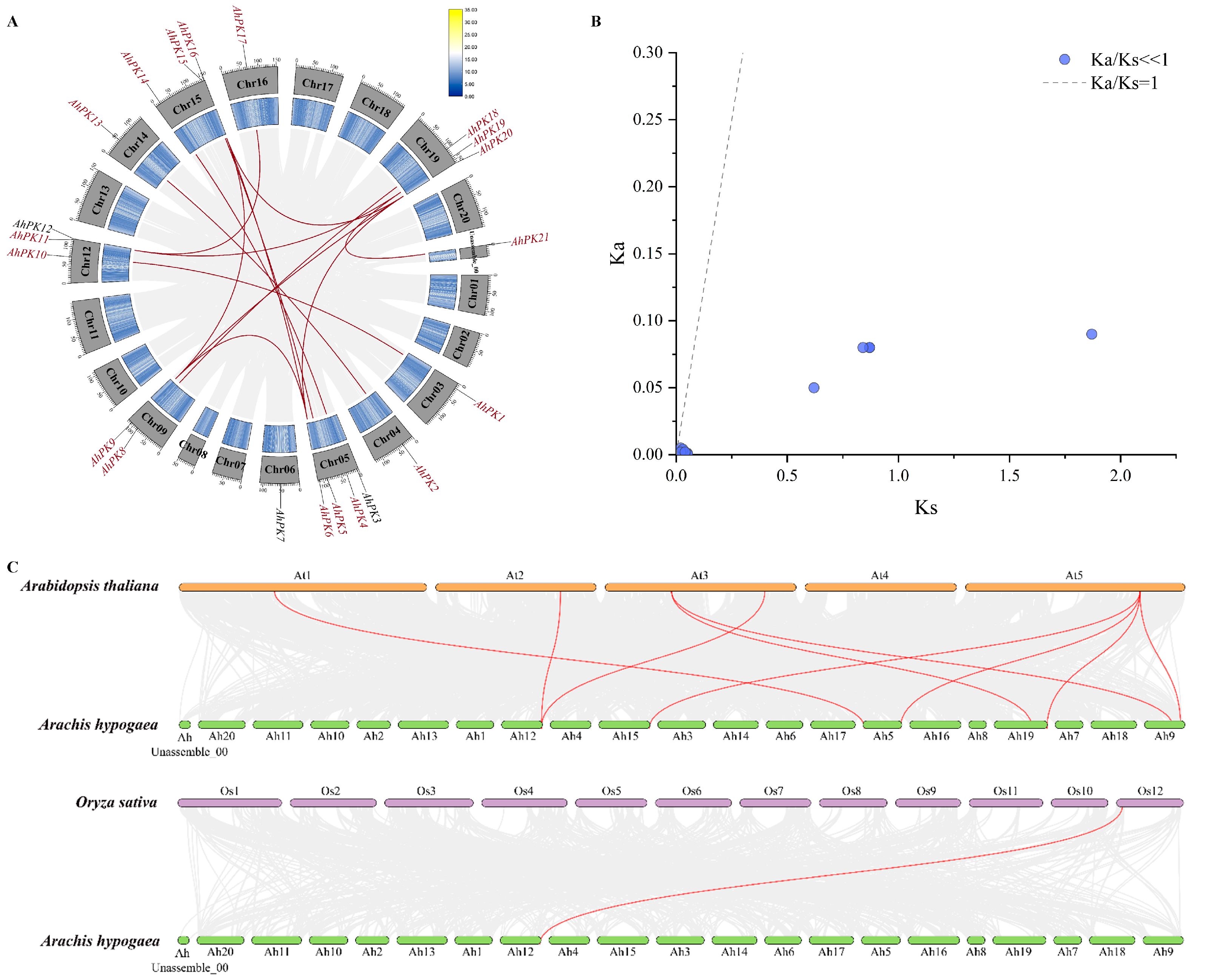 Horticulturae 11 00200 g003