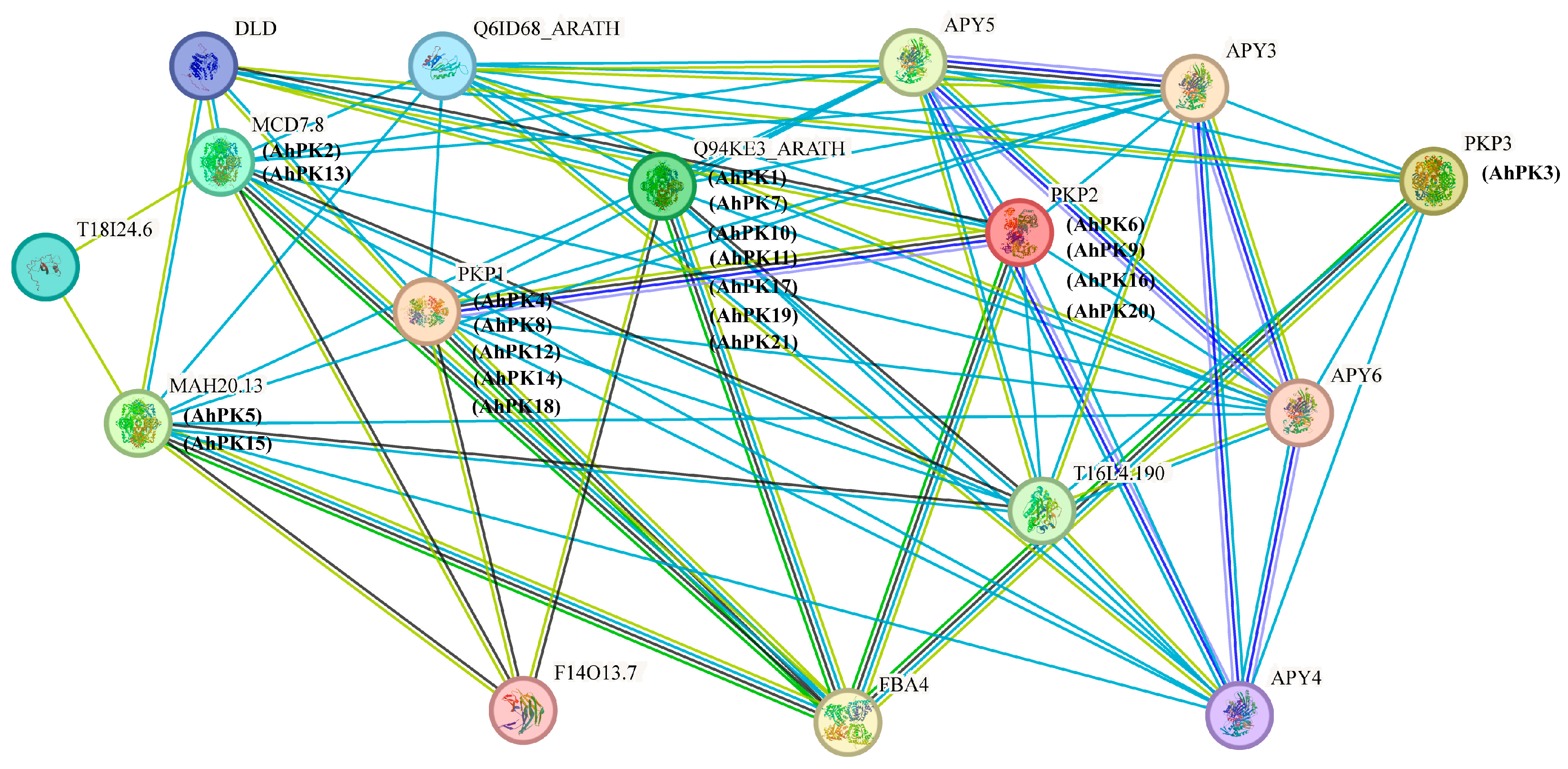 Horticulturae 11 00200 g004