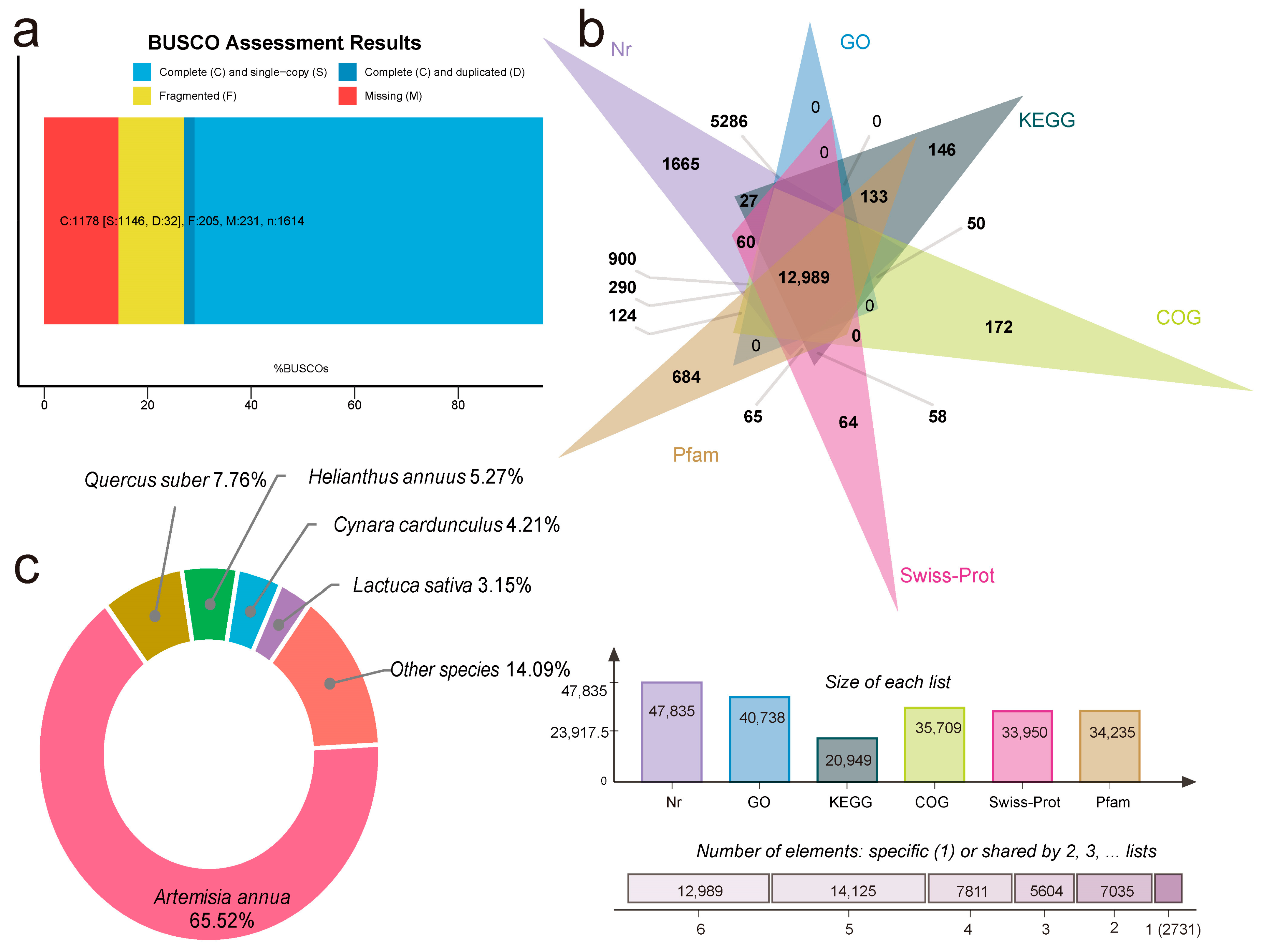 Horticulturae 11 00201 g002