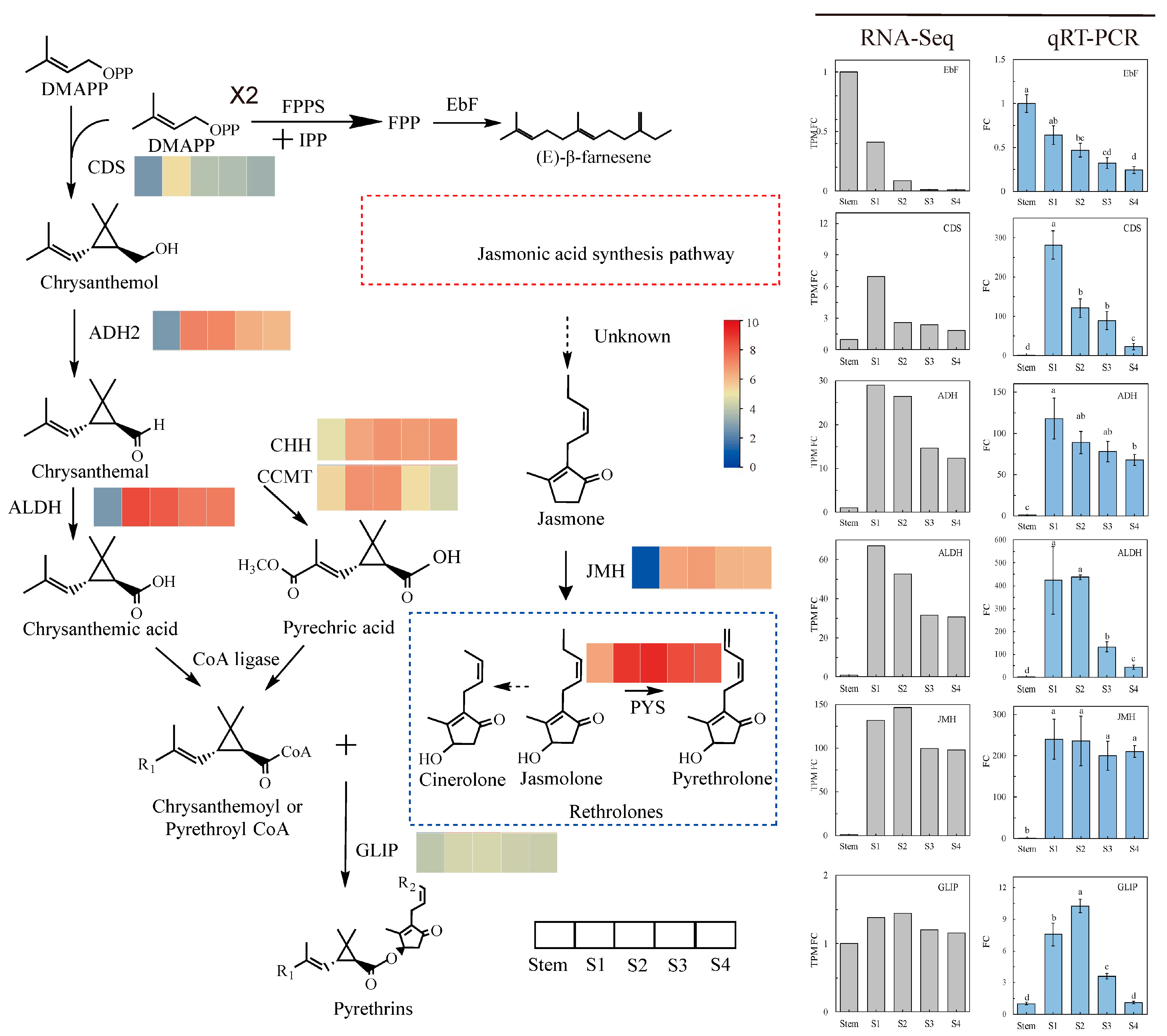 Horticulturae 11 00201 g005